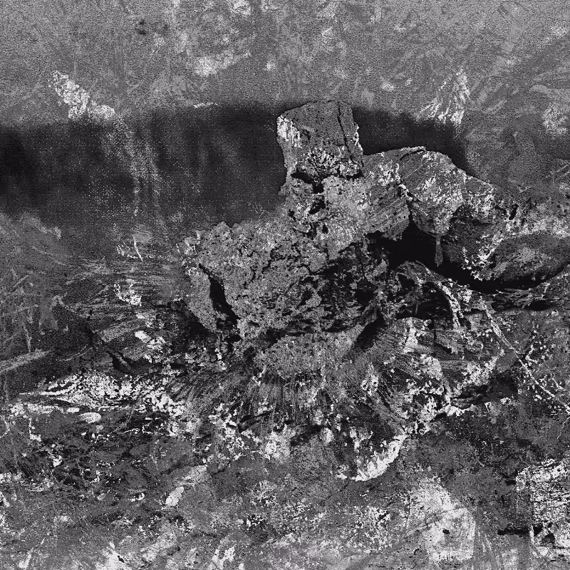 Plant remains #15