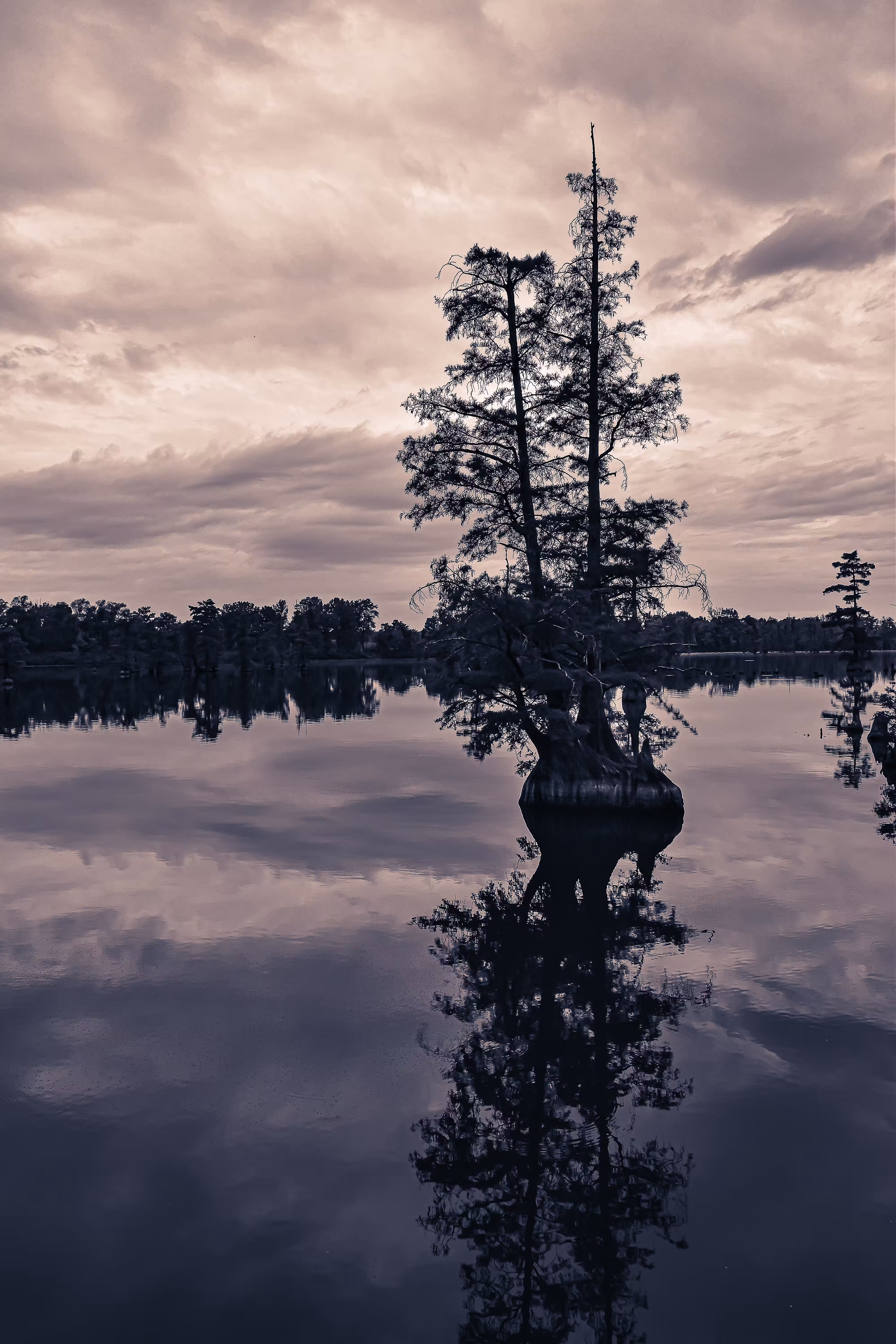 Reflecting 