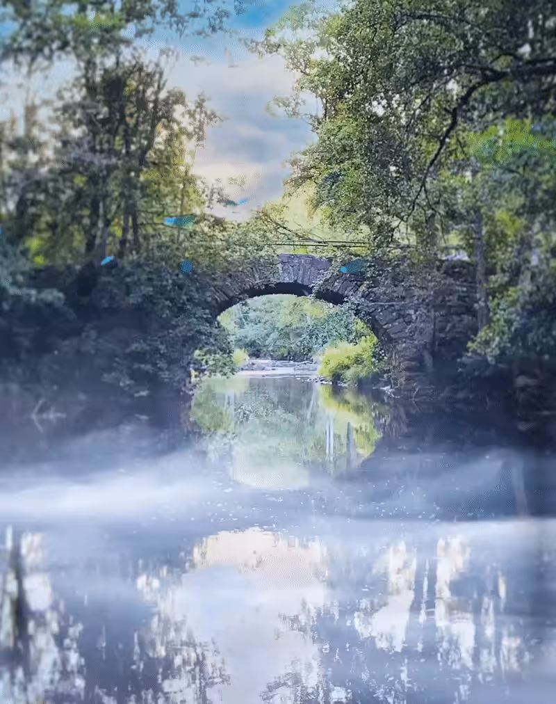 Butterfly bridge