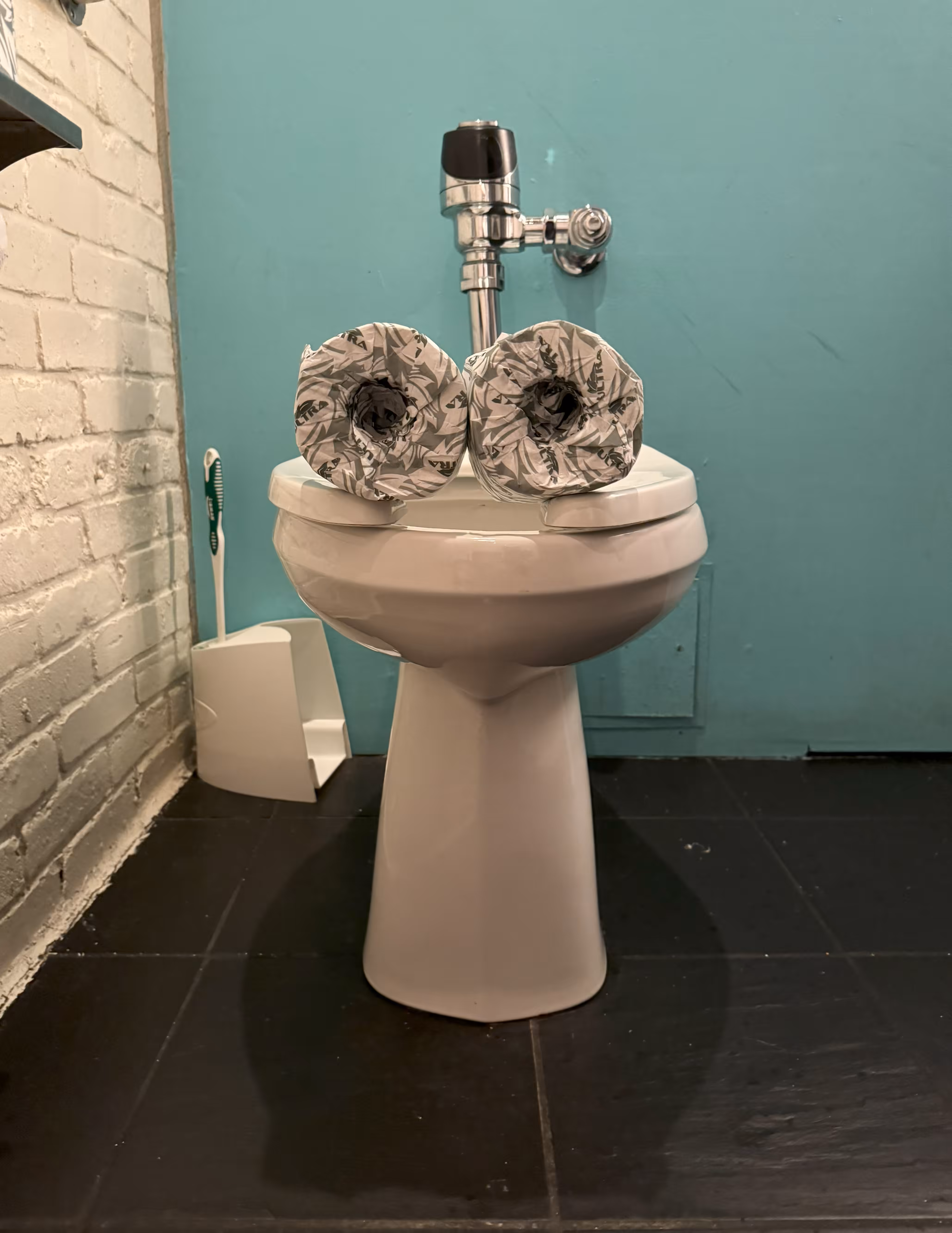 Pepe Toilets NYC #10