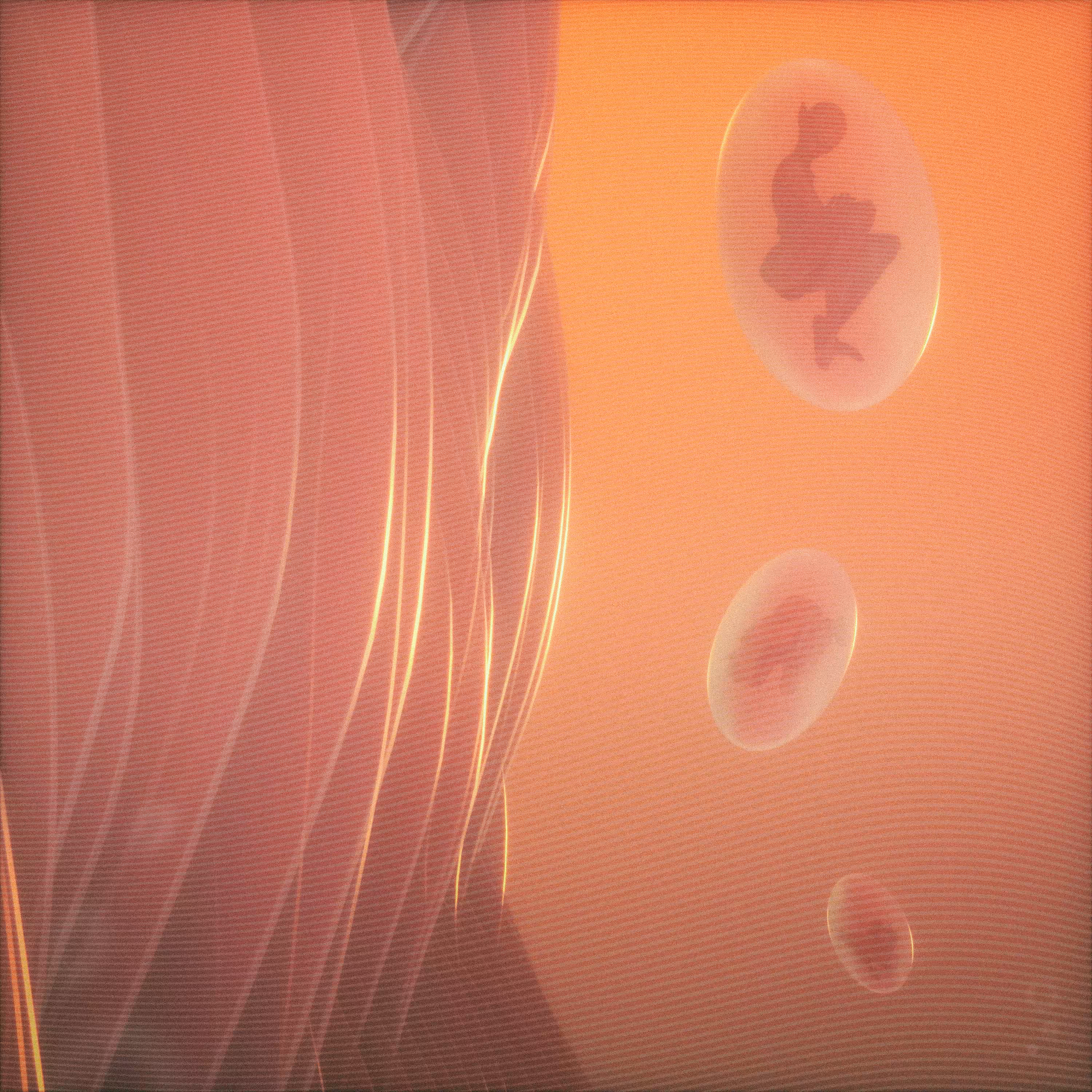 [ embryonic ]