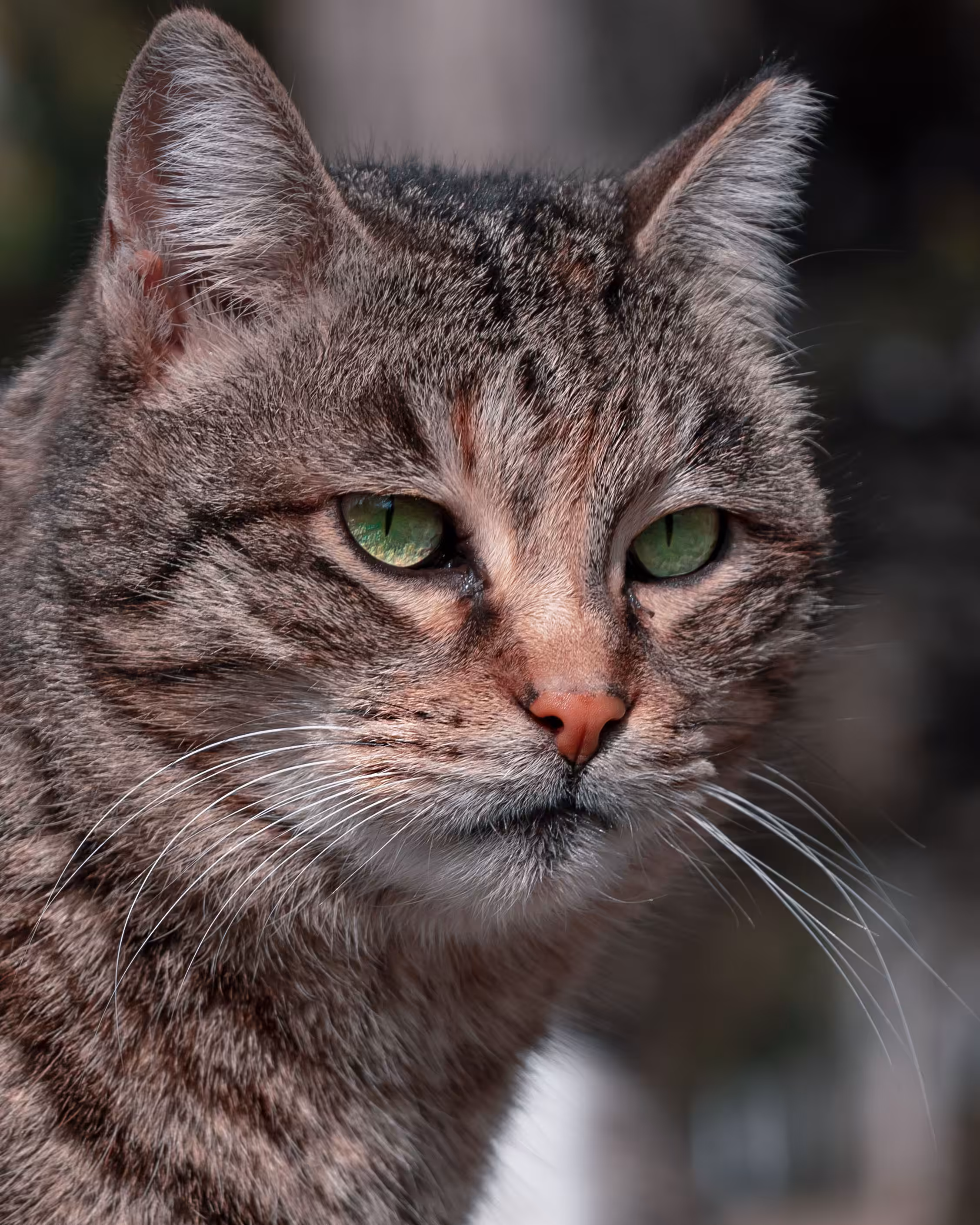 Photography: Cat2