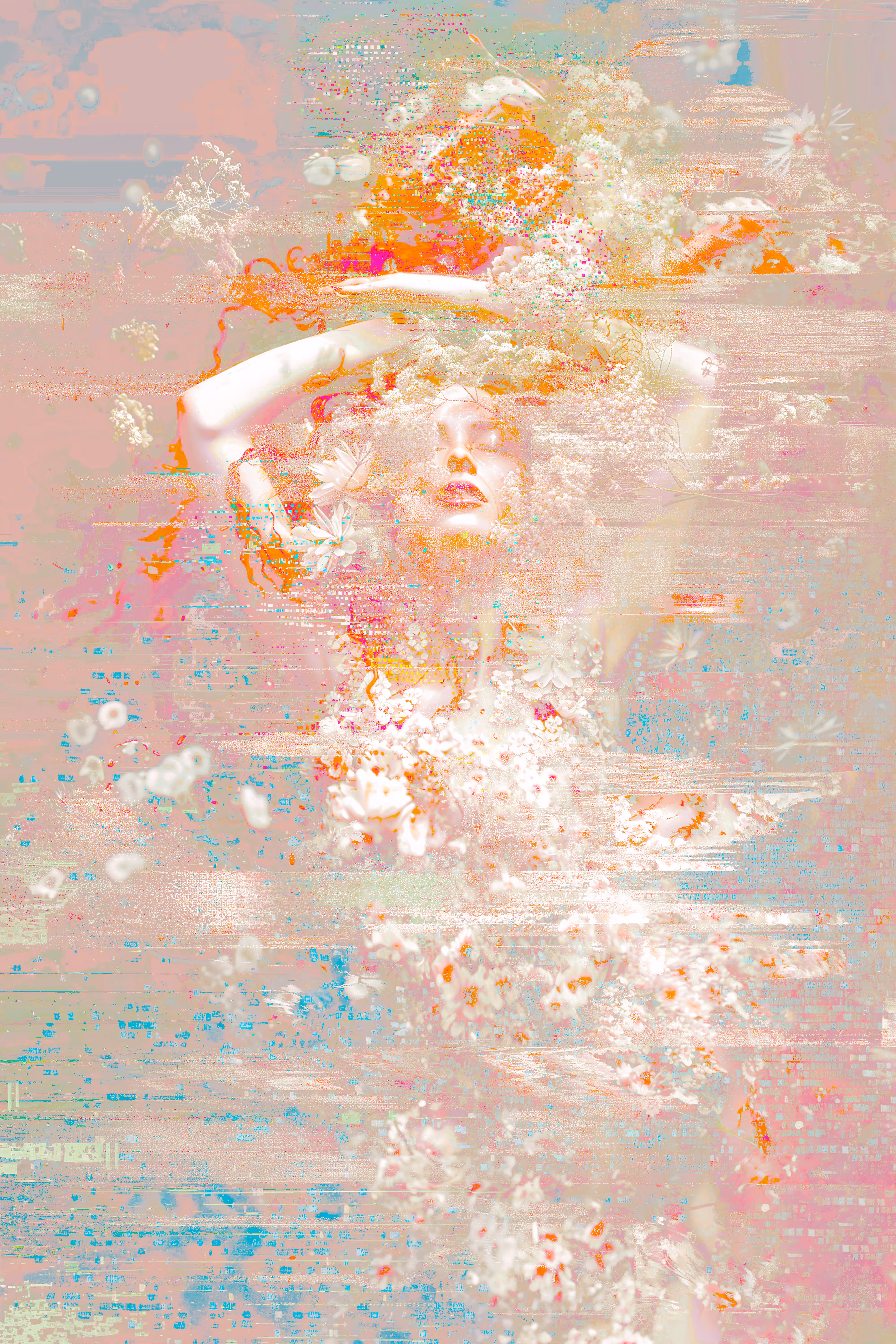 Rose Siren