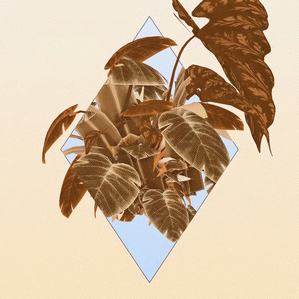 Botany #296