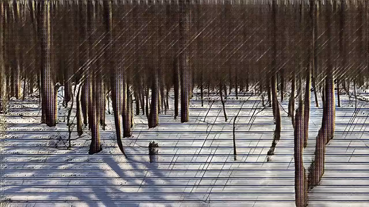 Winter Woods (b59g,7300,a8)