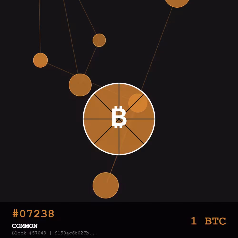 Bitcoin Pizza Genesis: 10K — COMMON Edition | May 22, 2010 - The Day Everything Changed