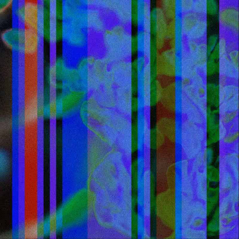 CLDCSMC #11