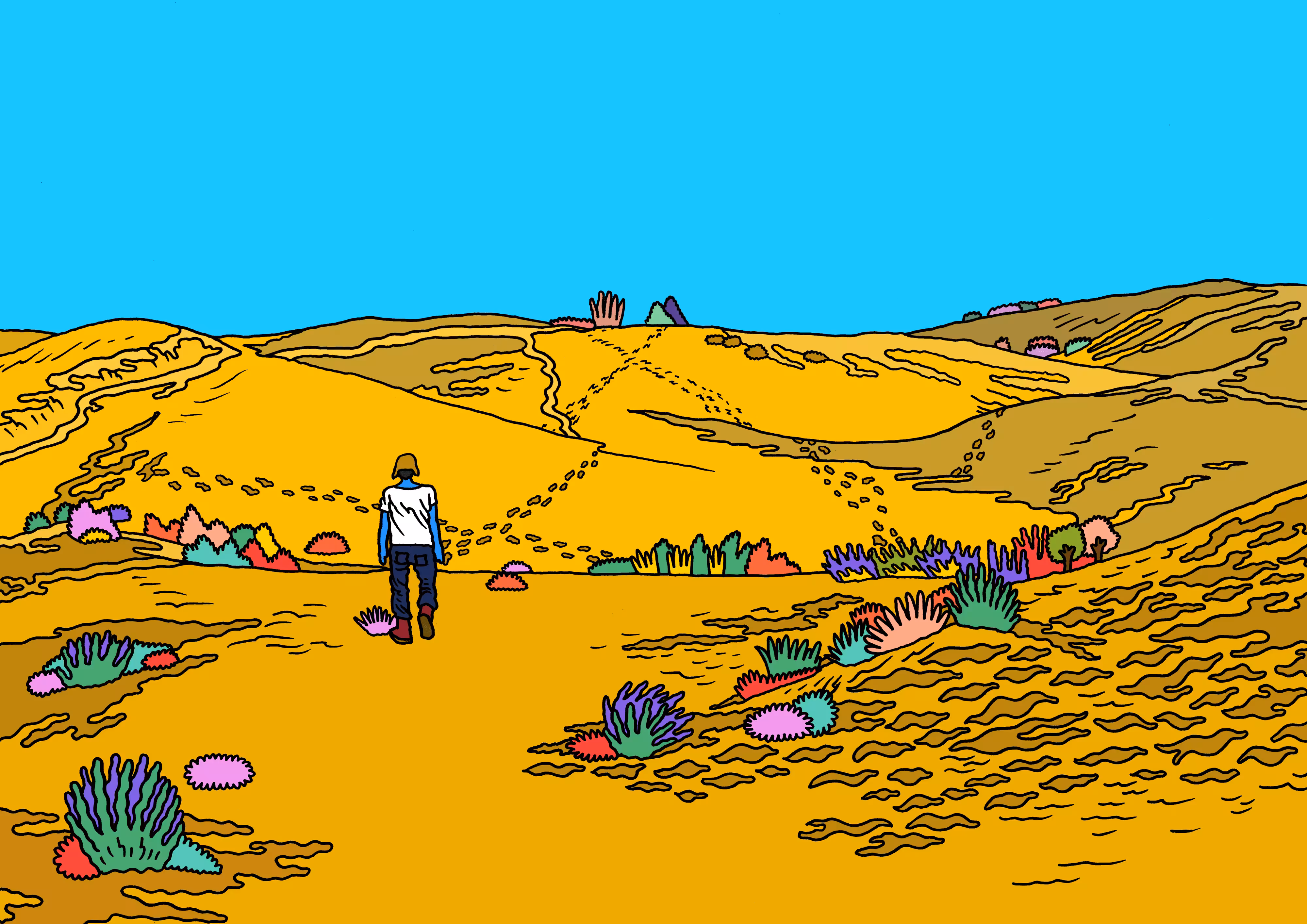 #05 Desert night