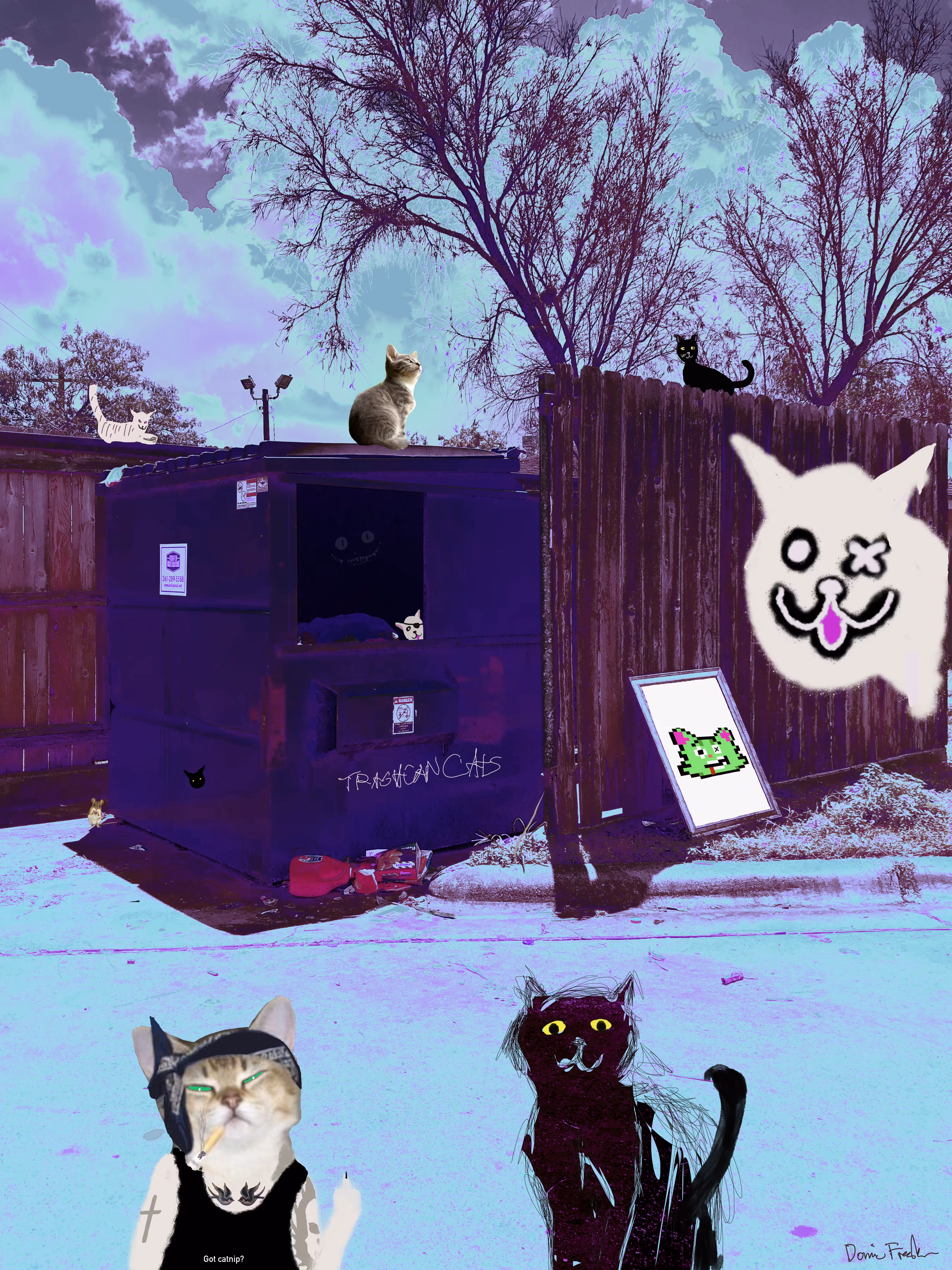 Trashcan Cats