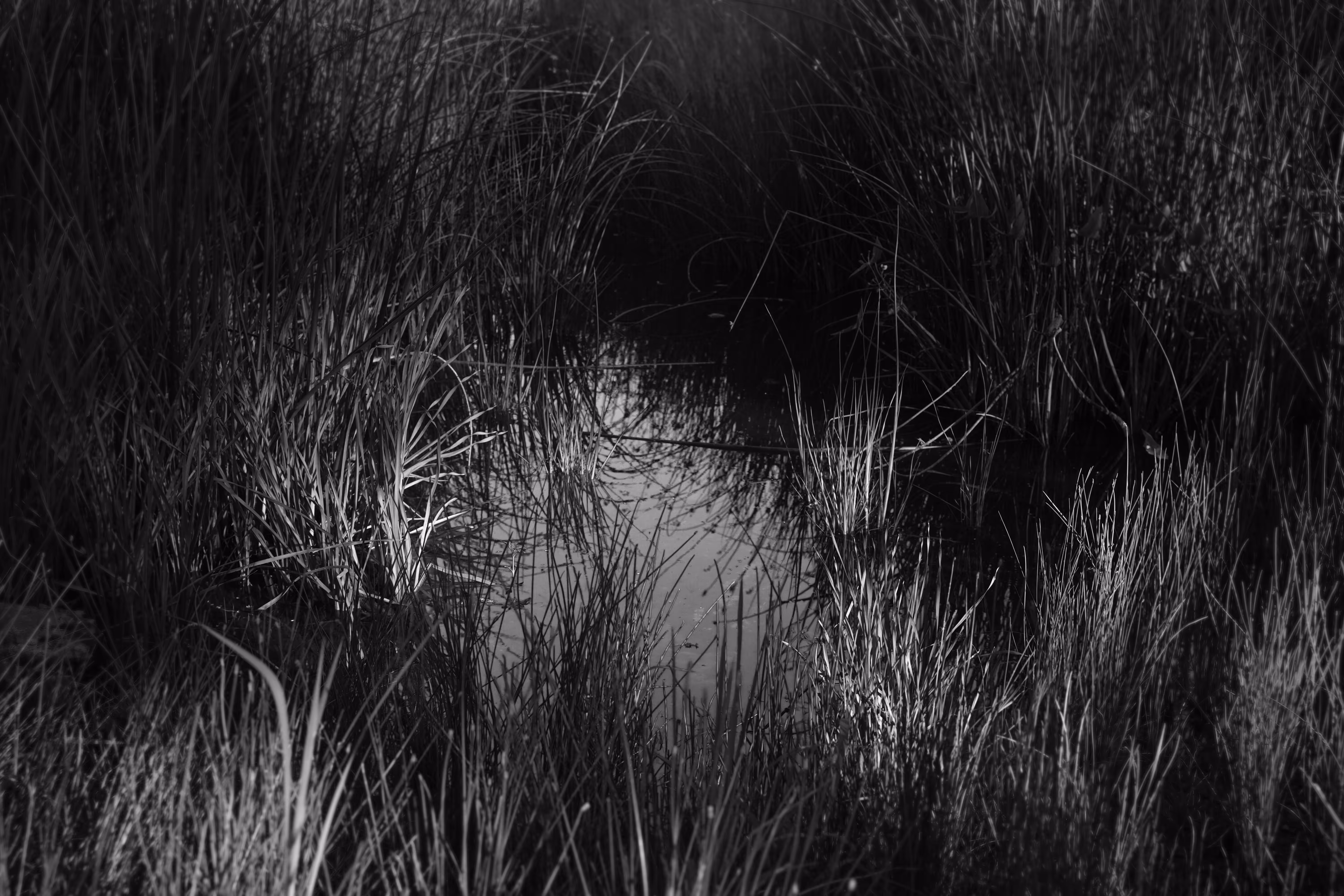 Place of a witch's Sabbath