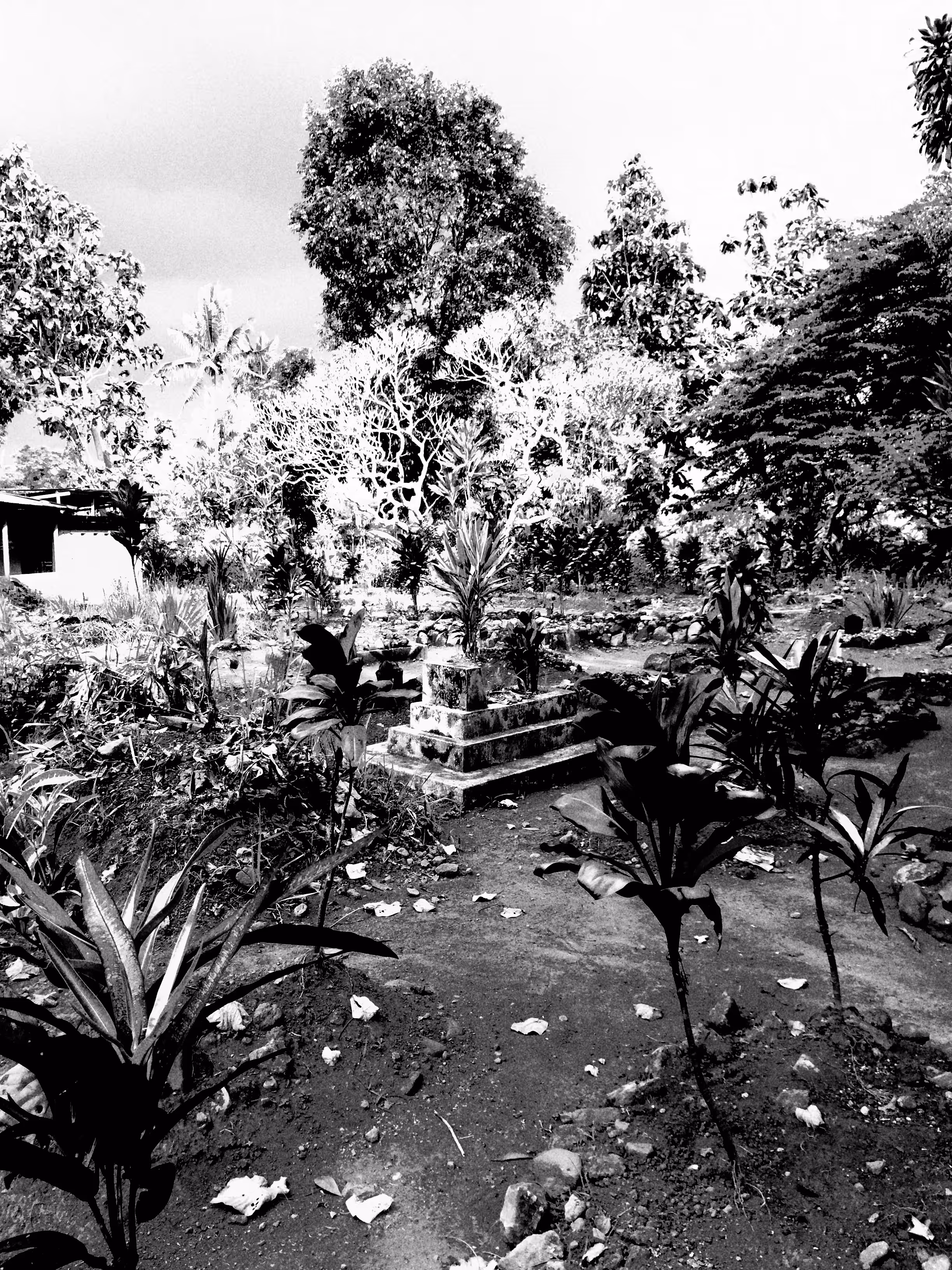 KALAMANGSA