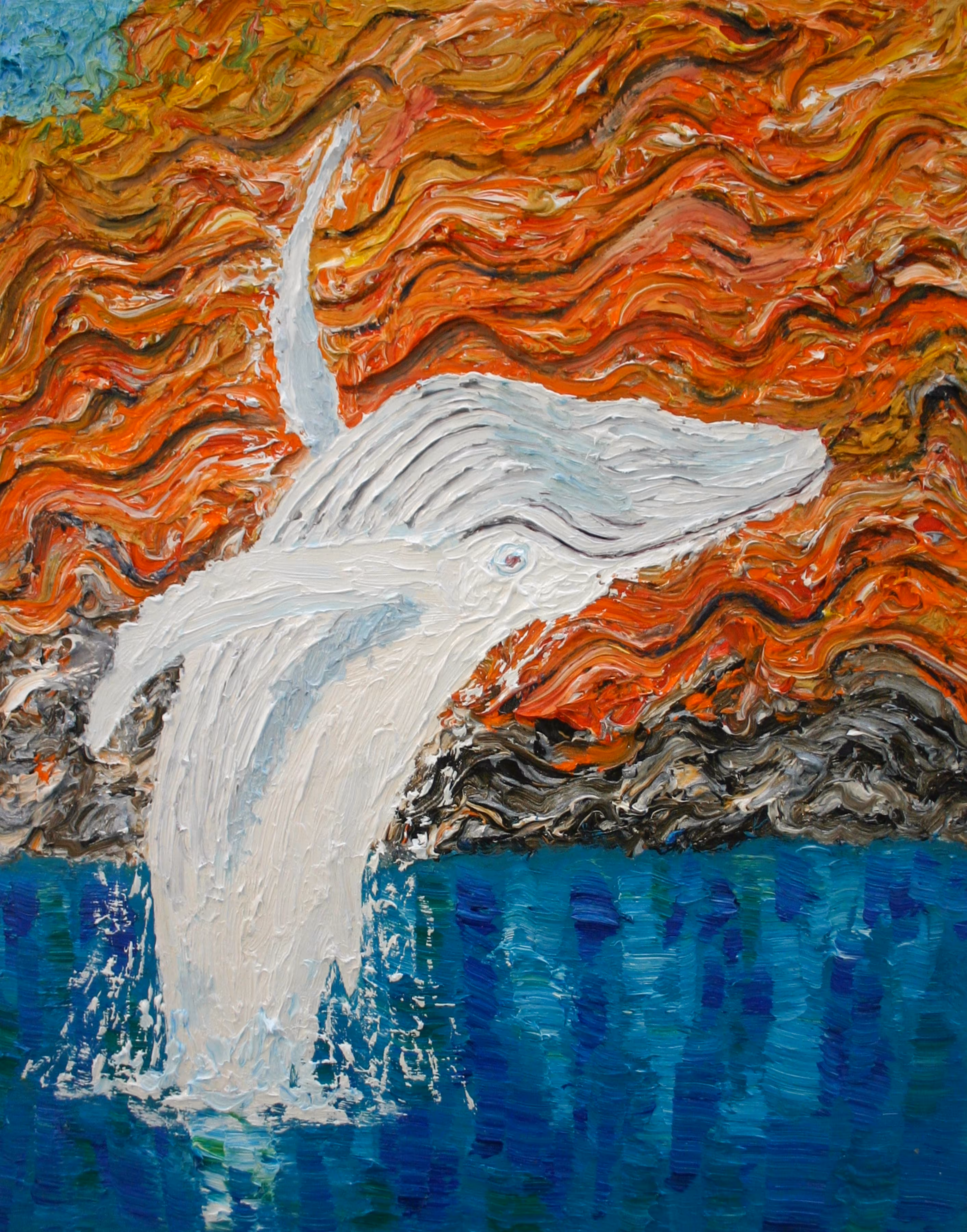Migaloo The White Whale