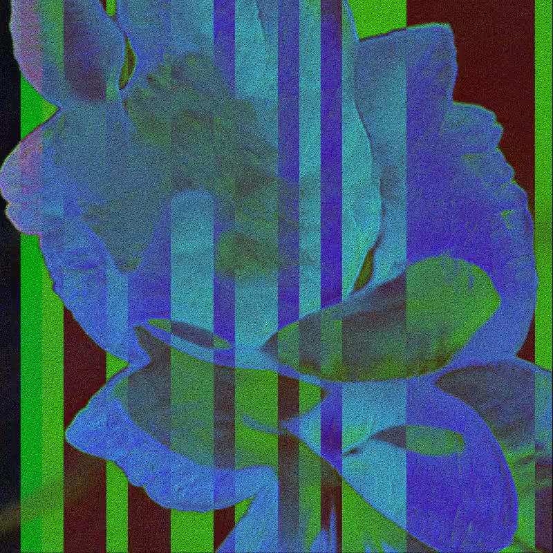 CLDCSMC #31