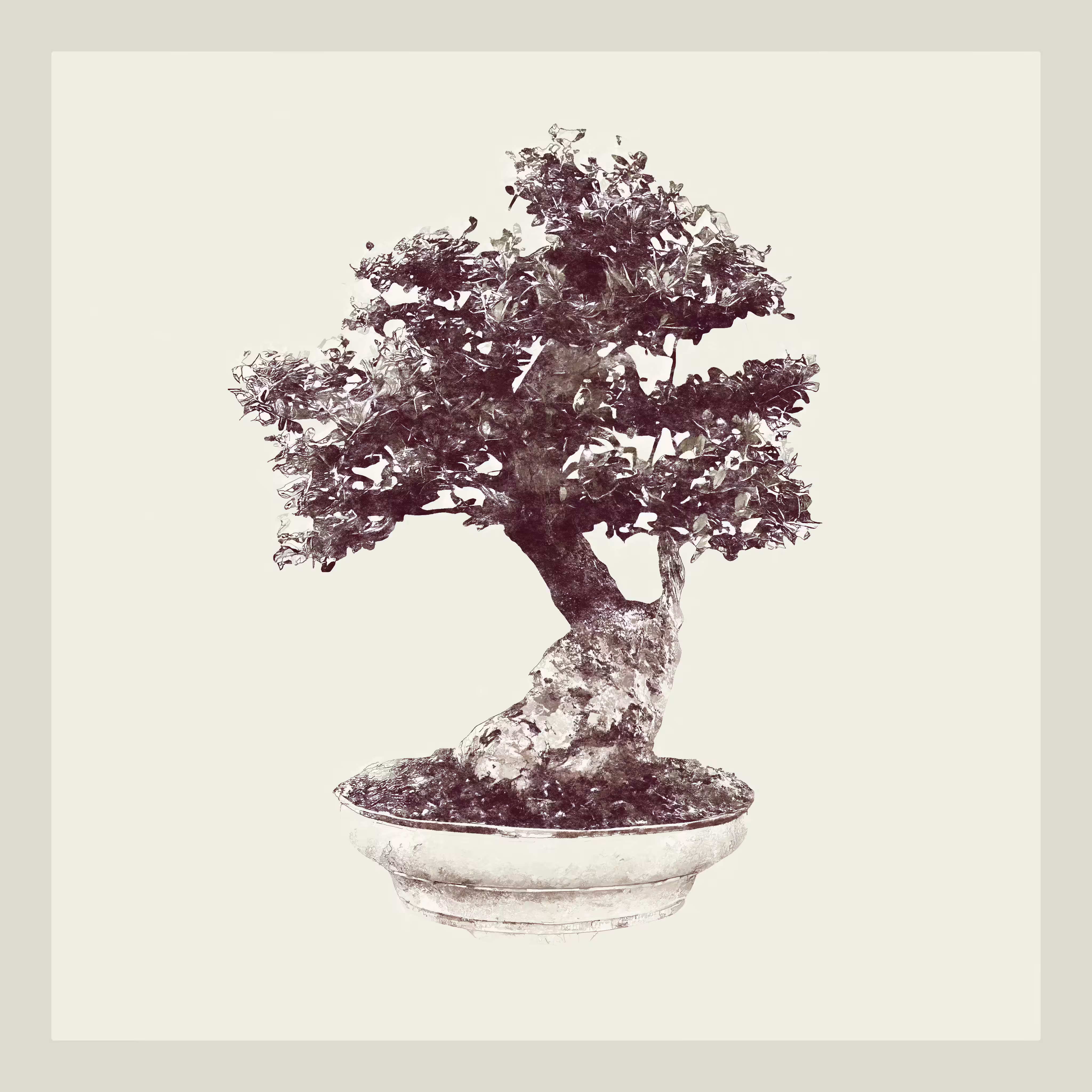 Wild Olive Bonzai generative tree