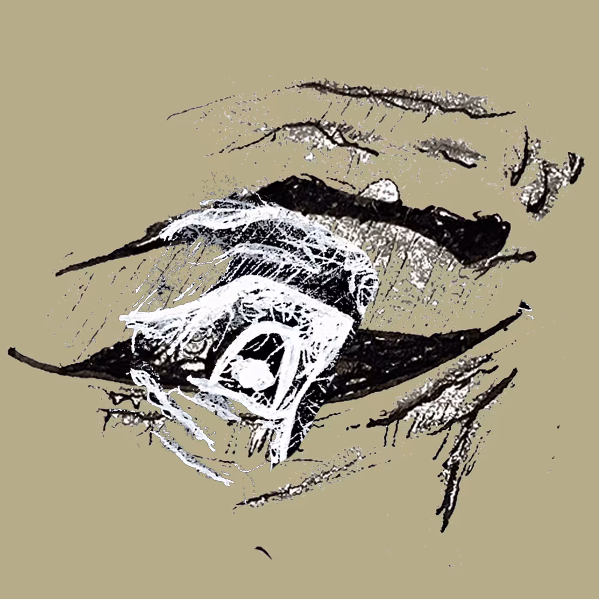 Eye's on the Mountain