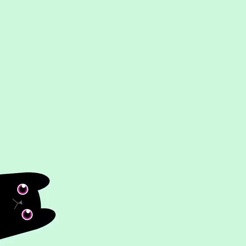 Where is the cat? #9