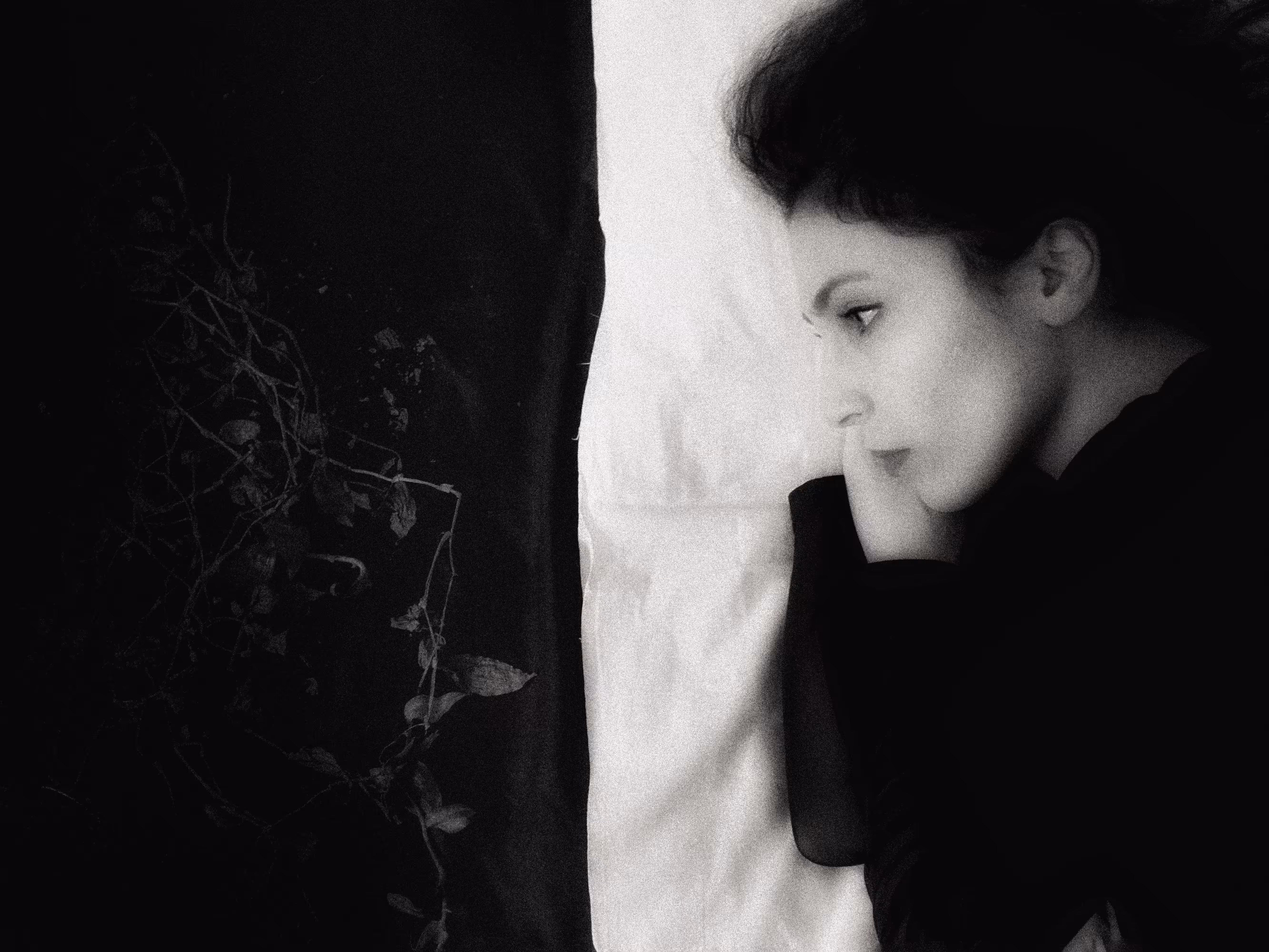 the audience is present - collab 013 - dilara pak
