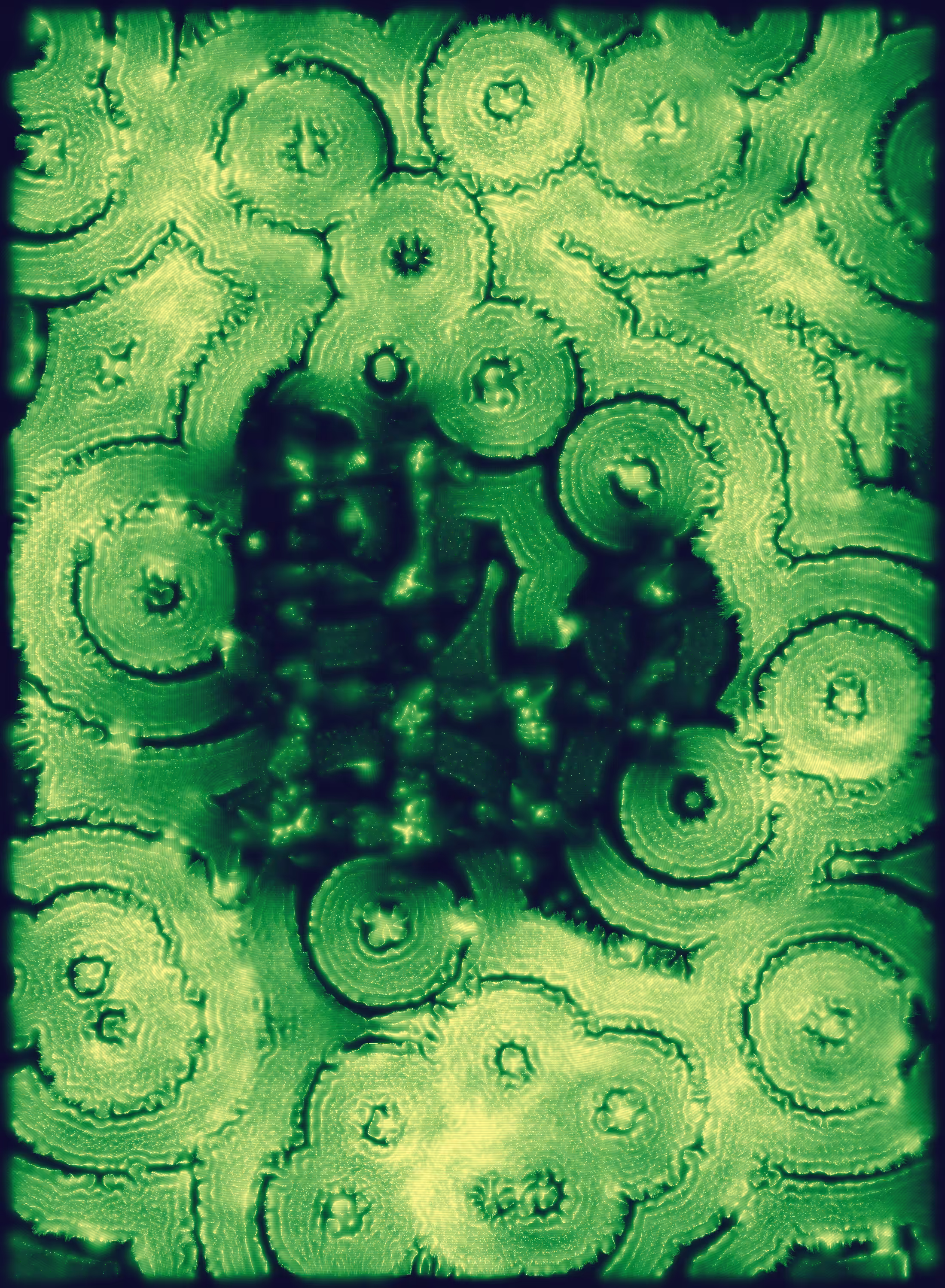 Holons #381