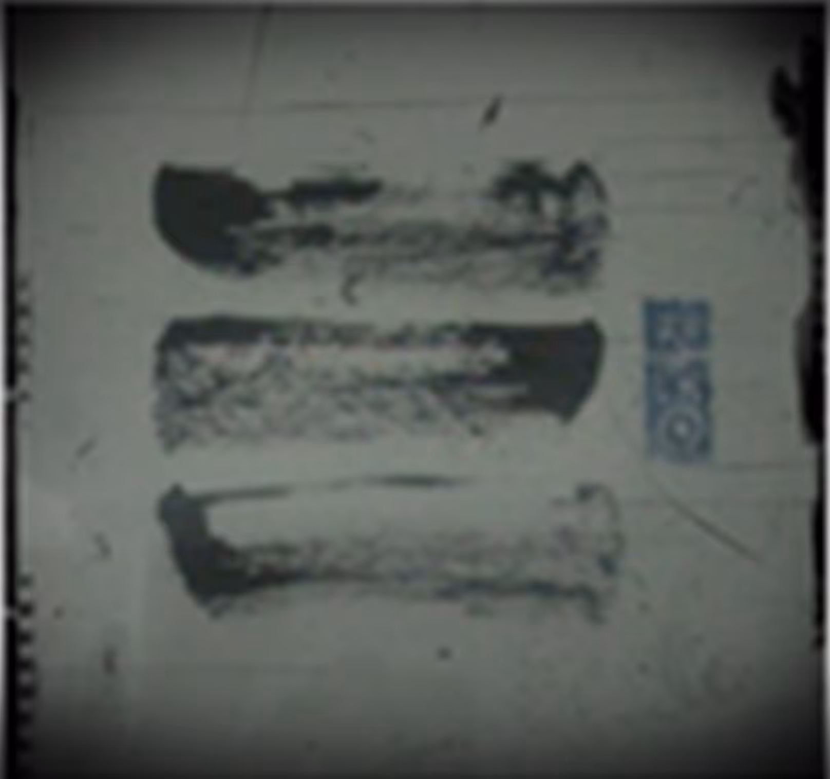 Calli_1