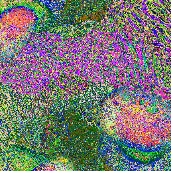 Einstein-Rosen Memories #19