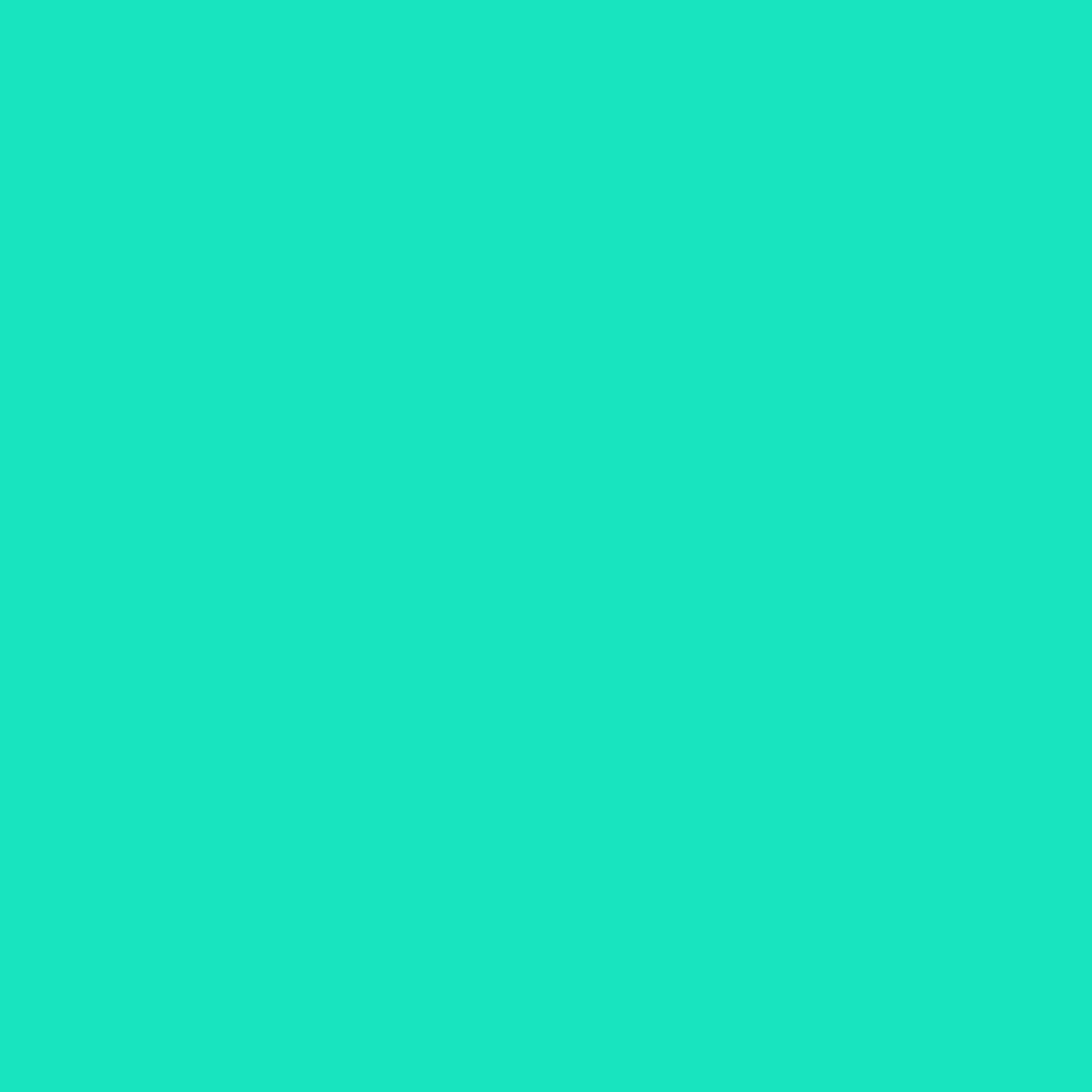 HEX #28ffbf