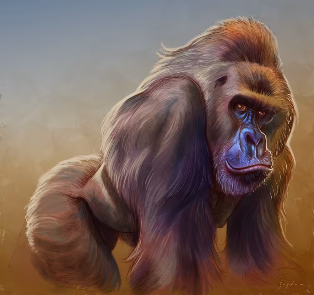 Gorilla #1