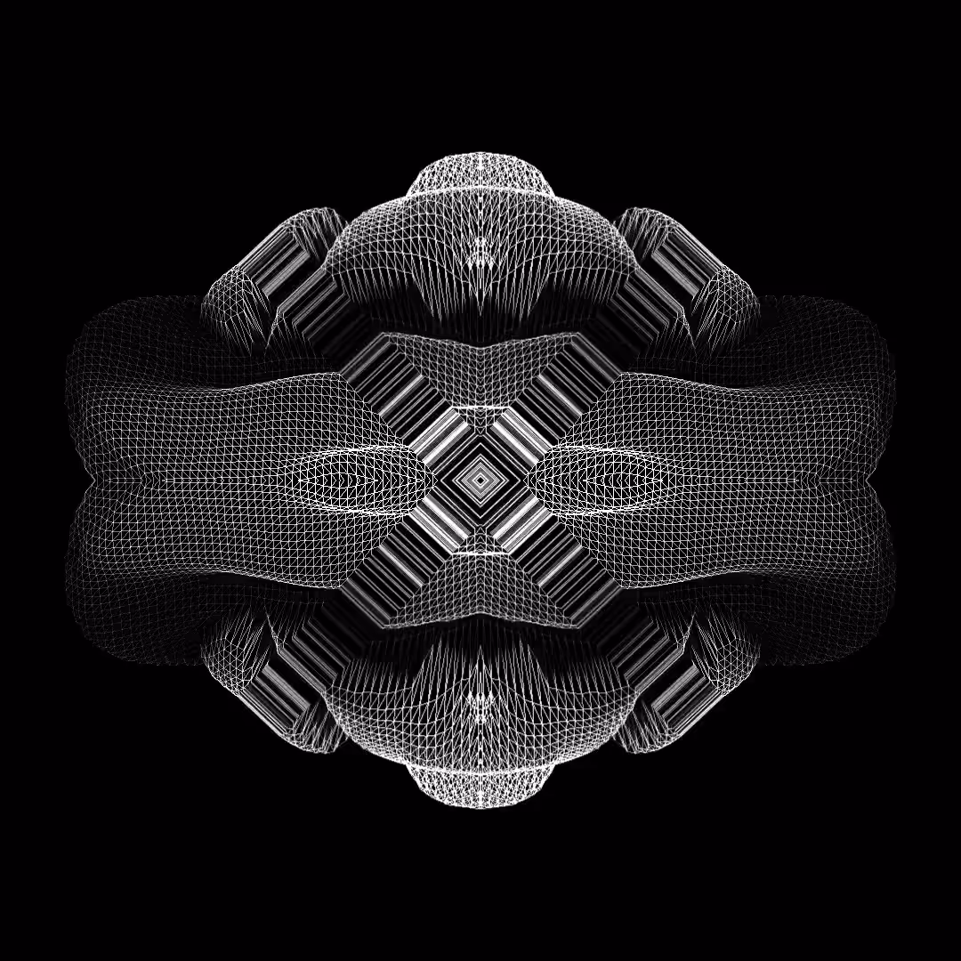 cryptomesh 07