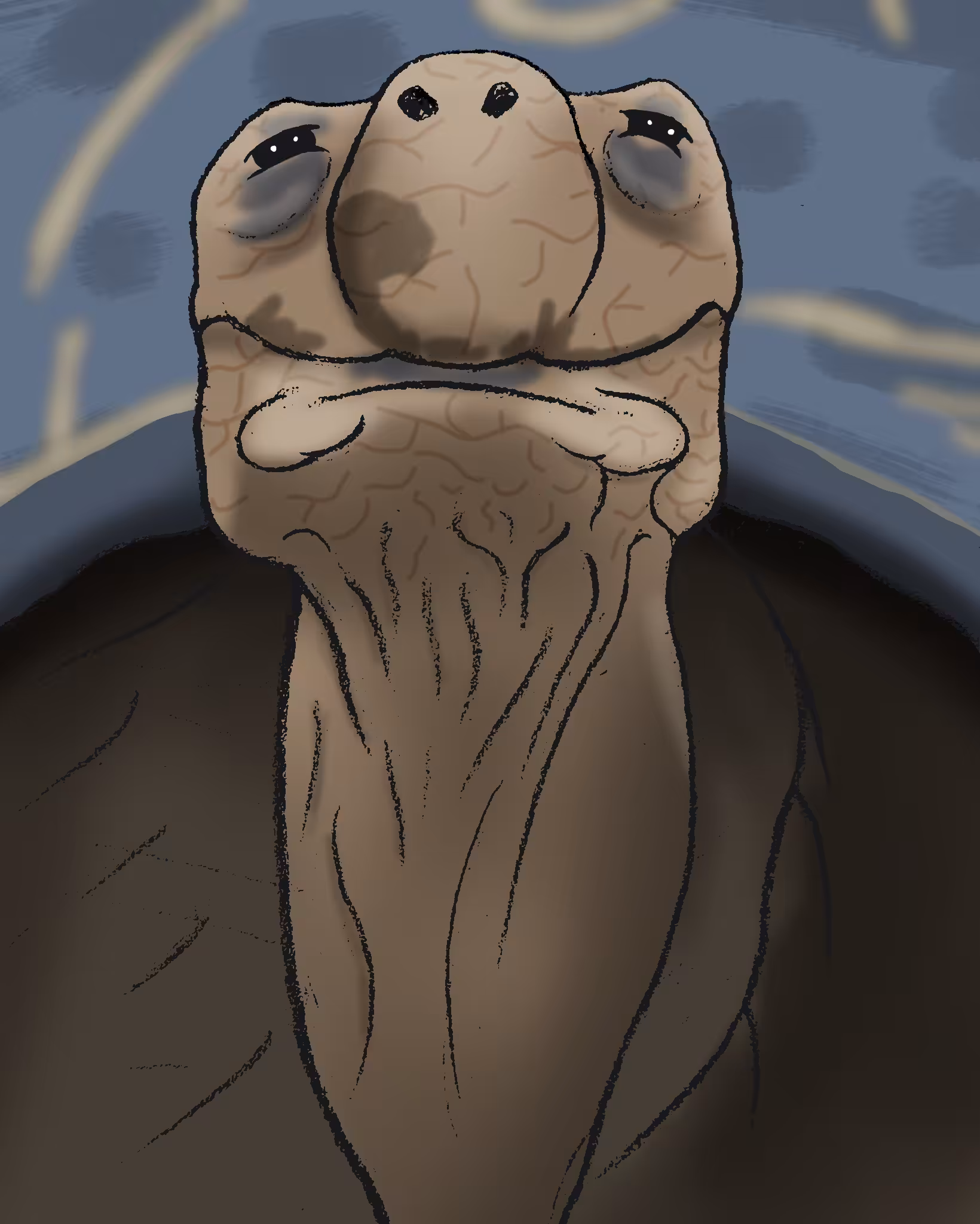 Art Of Abolfazl : Kind Turtle 