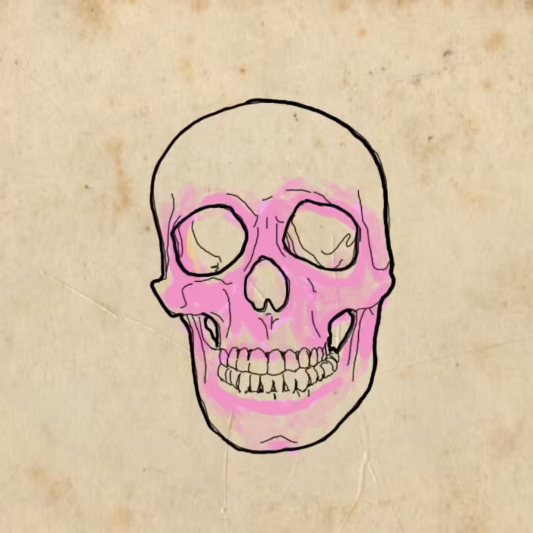 ANIMADEAD SERIES #1