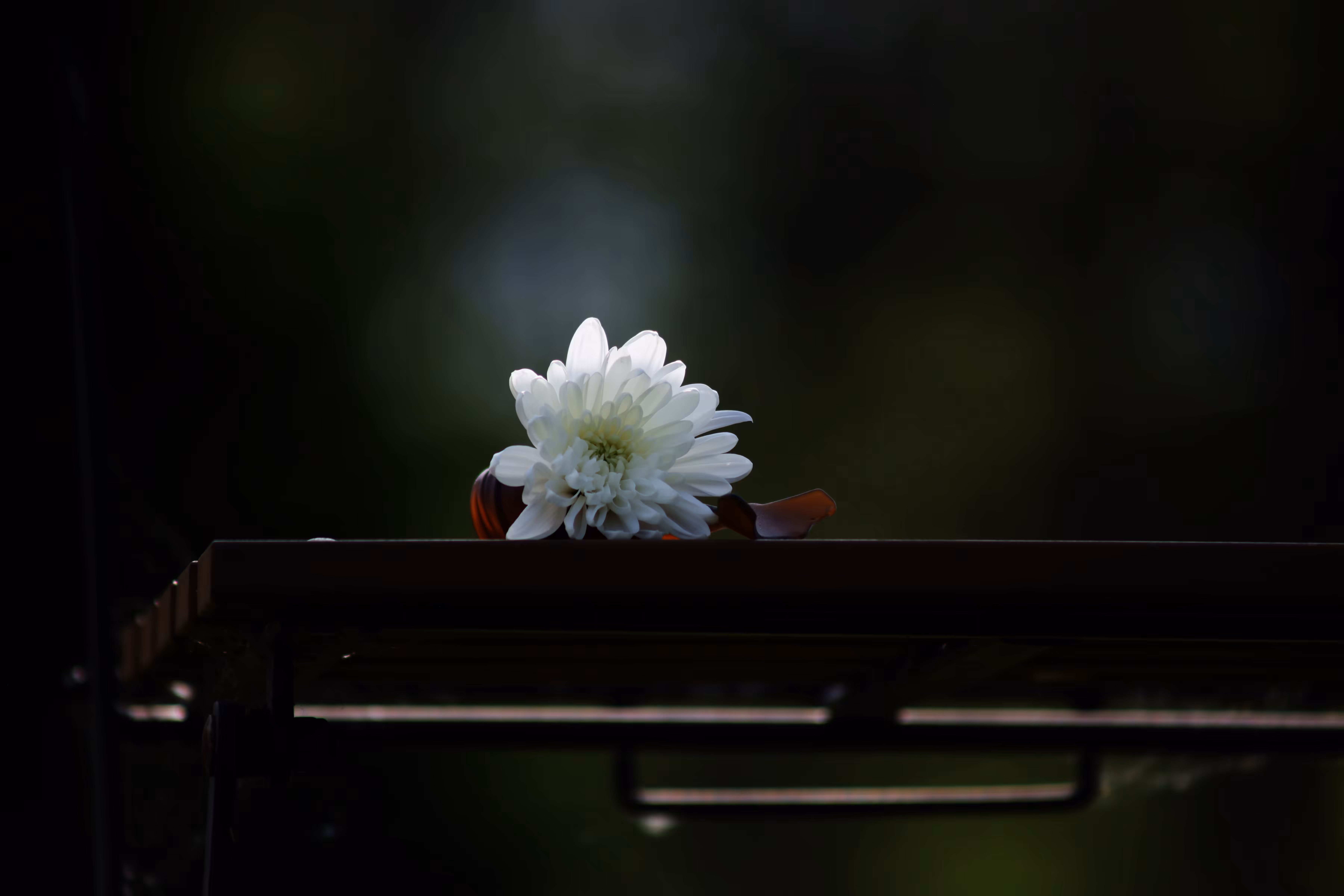 _horizon begins
