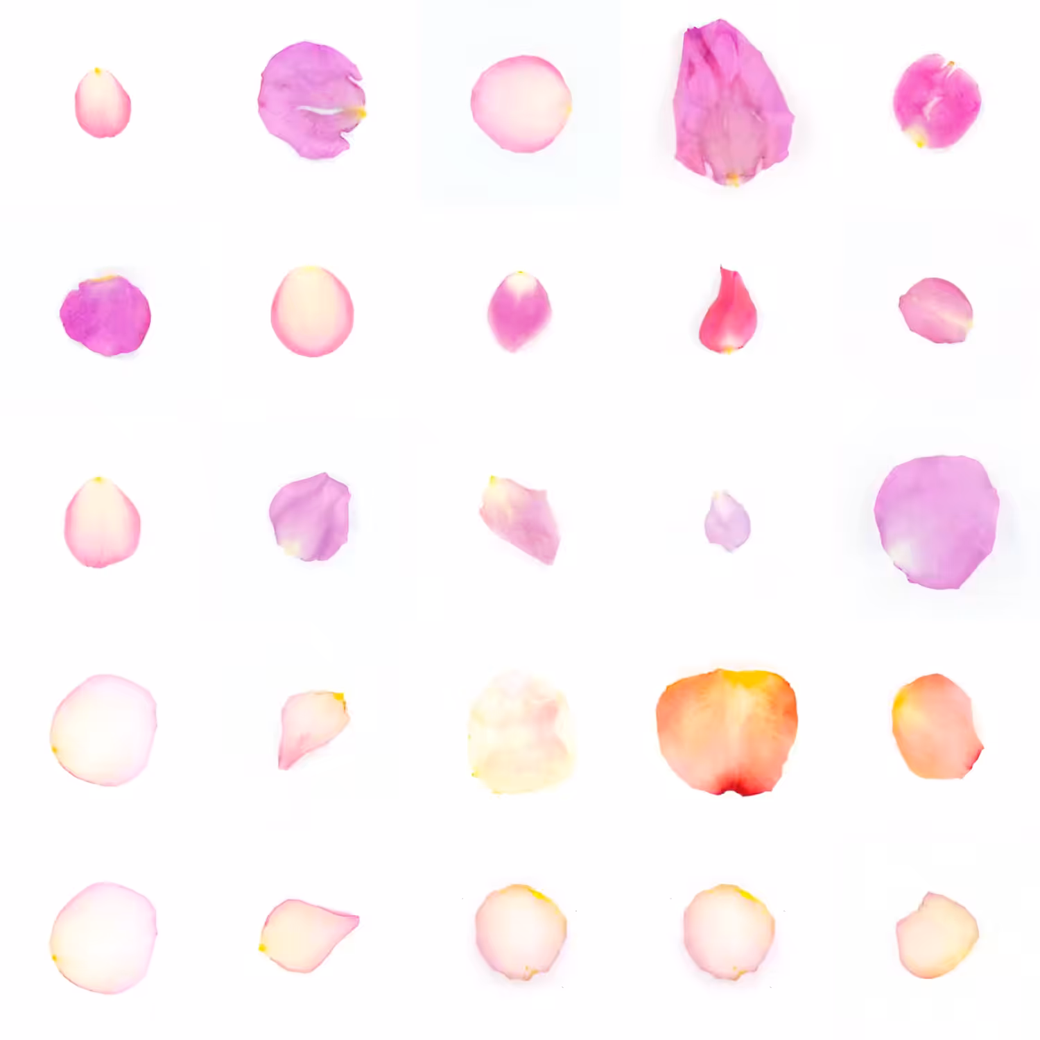Infinite Petals 5x5#1001