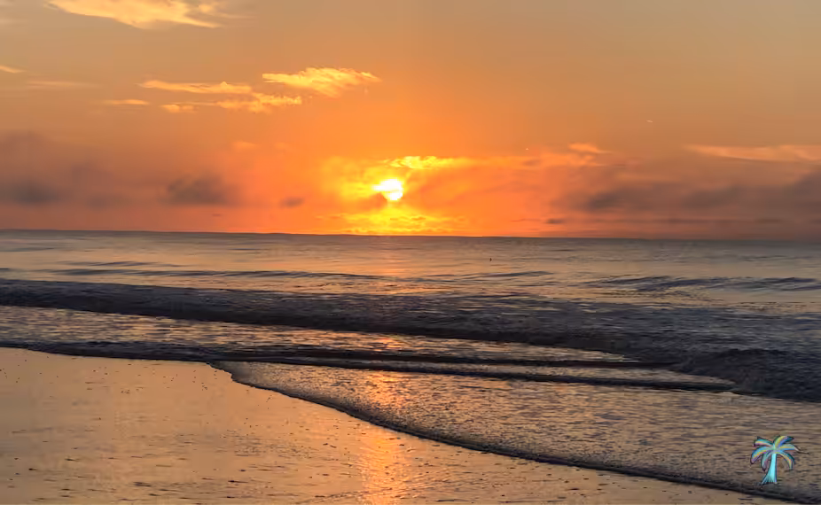 Warm Awakening 