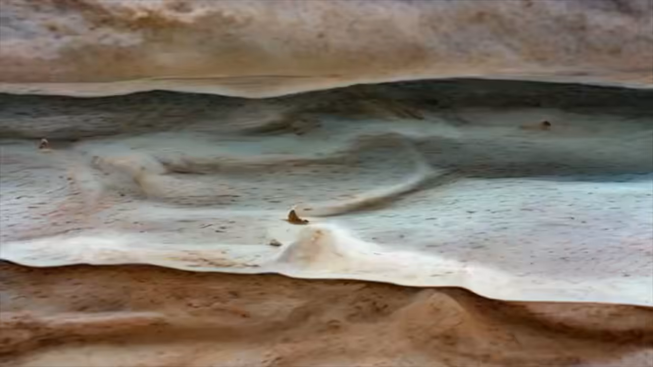 The Wedge Faces AI