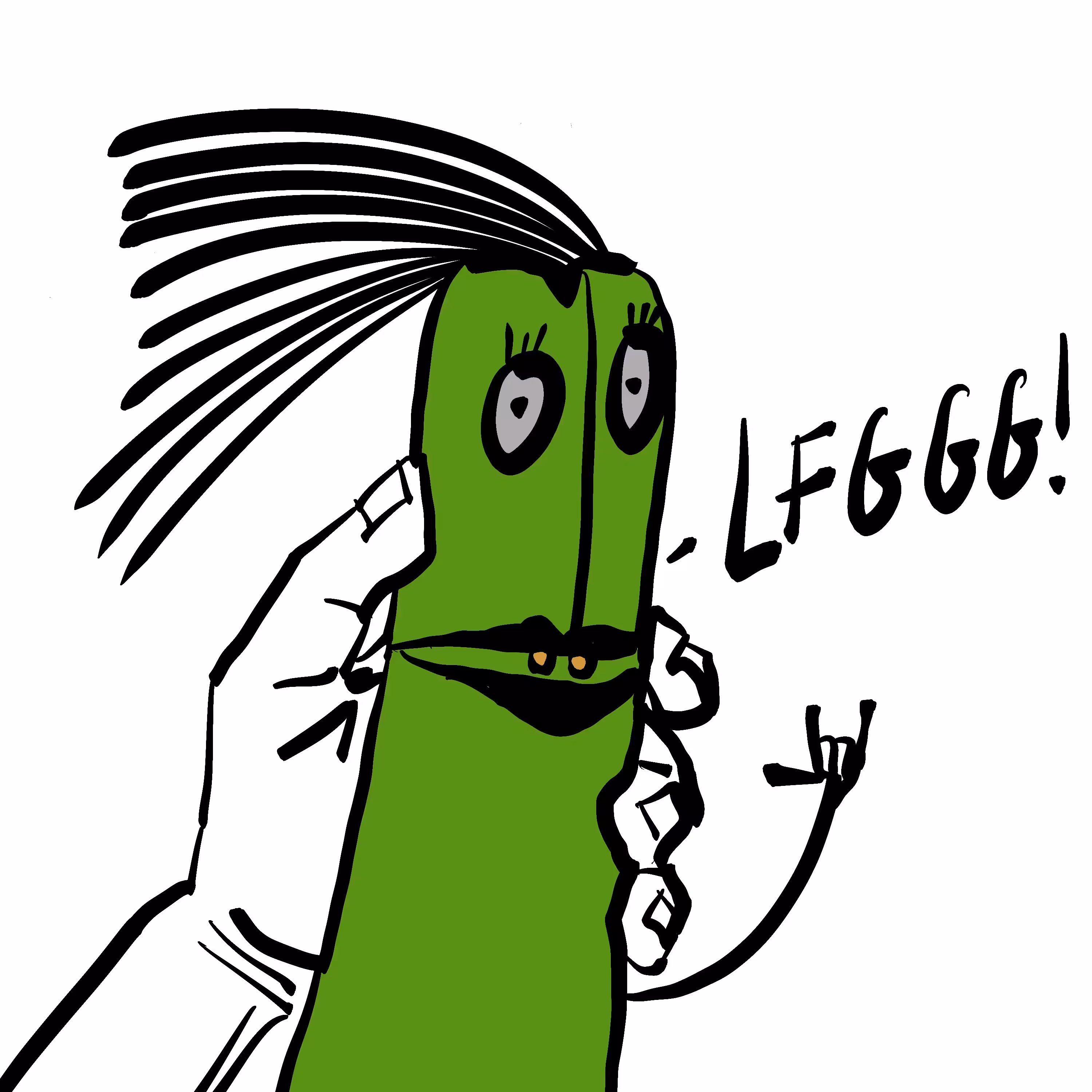 LFG zucchini