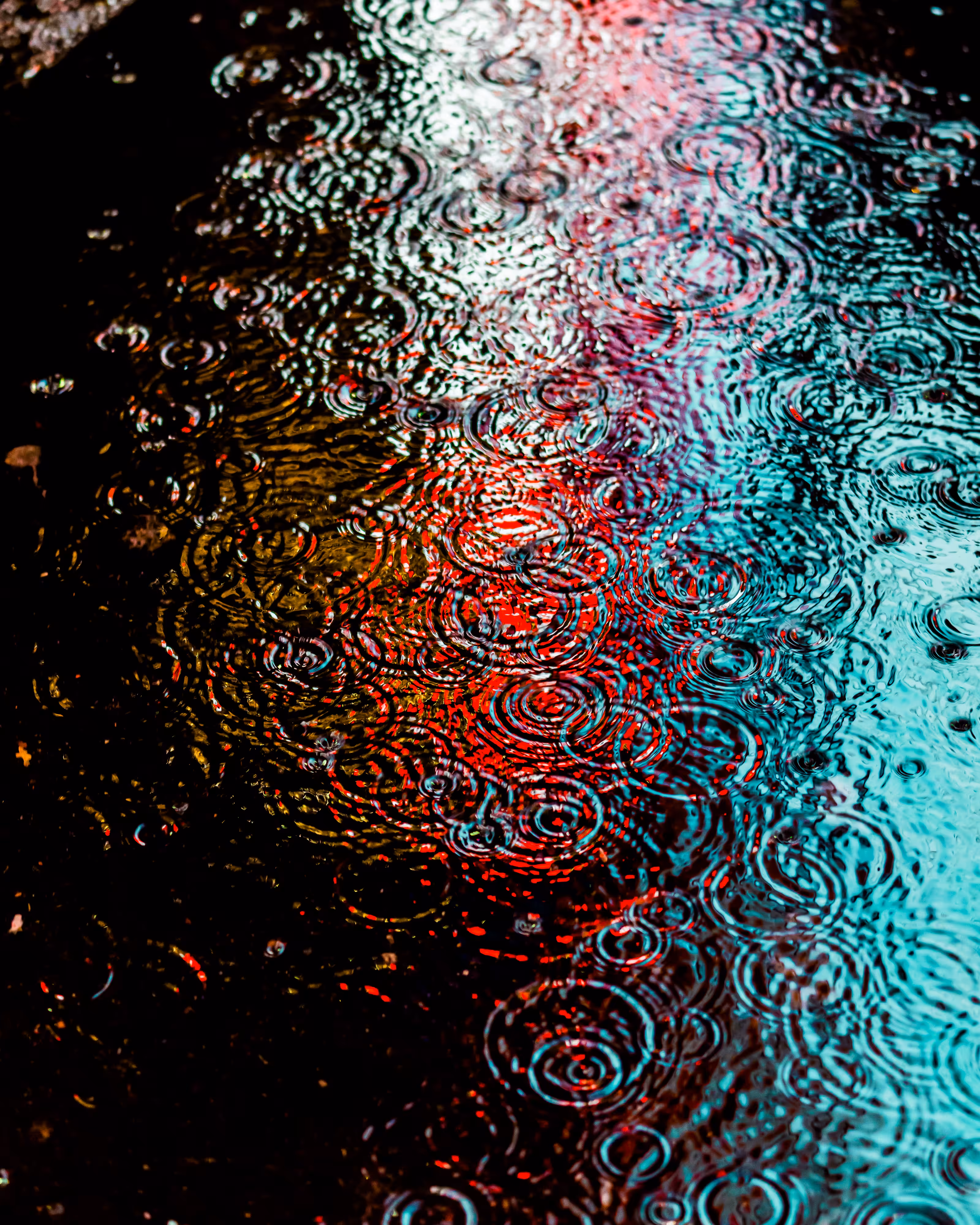 DRIP DROP: DRIP #312