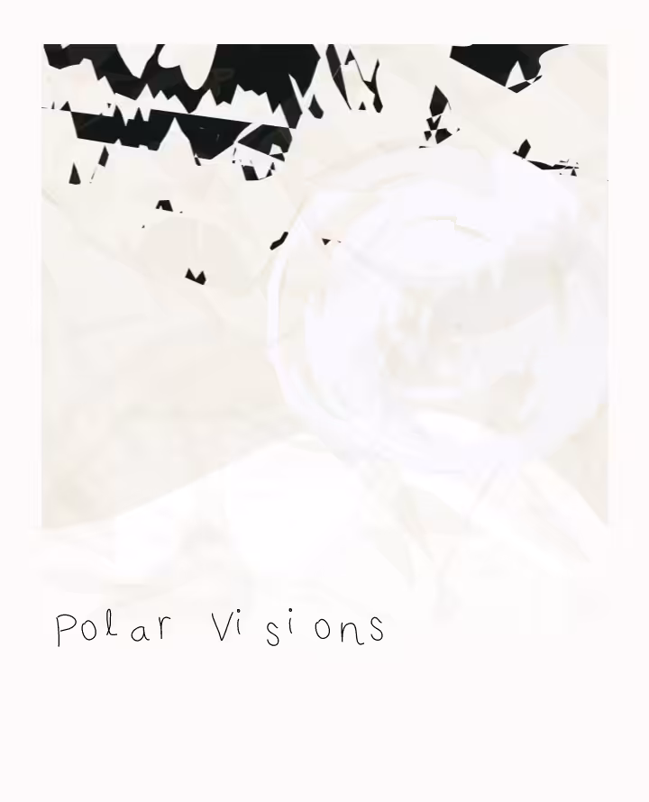 "Polaroids" #67