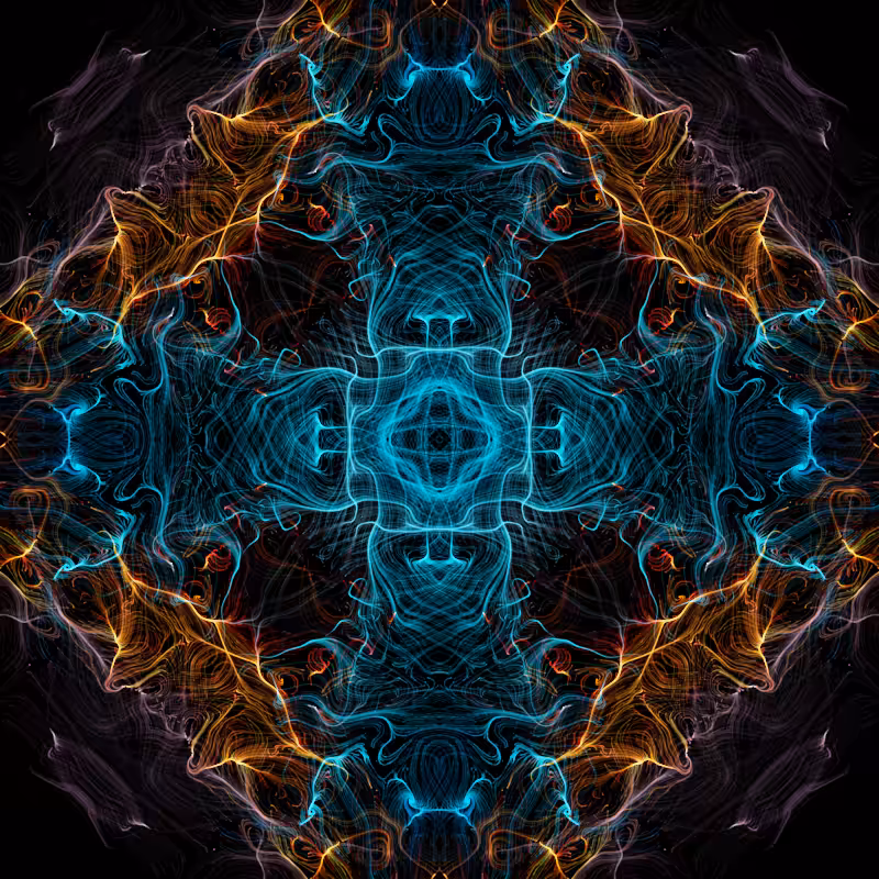 nighttime in the garden #8