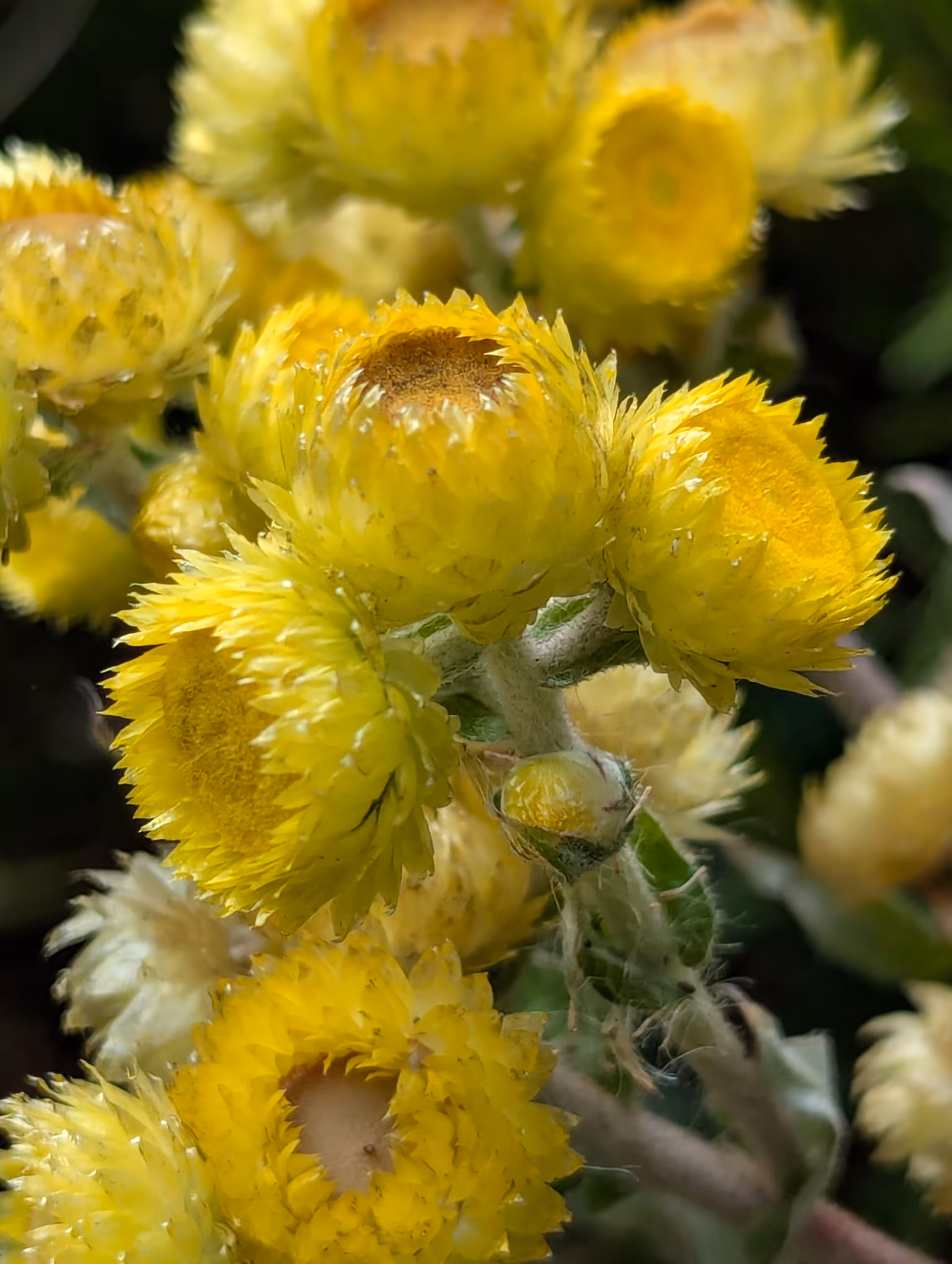 Luke_0x1 Photography : Sunshine everlasting