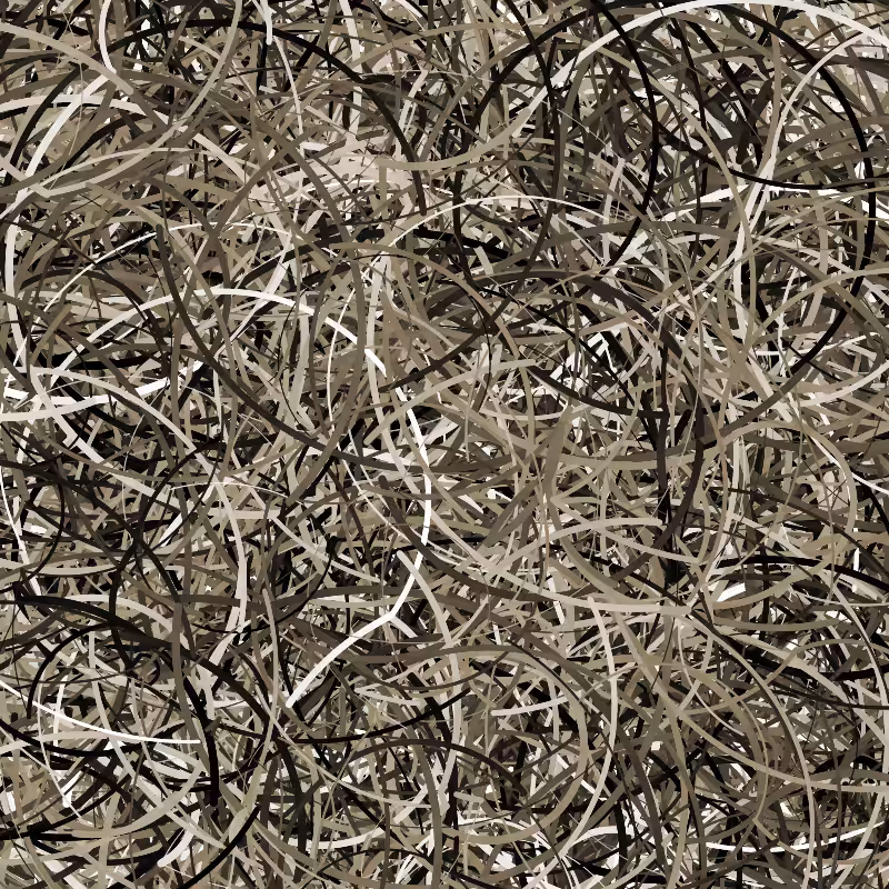 The garden of forking arcs #2