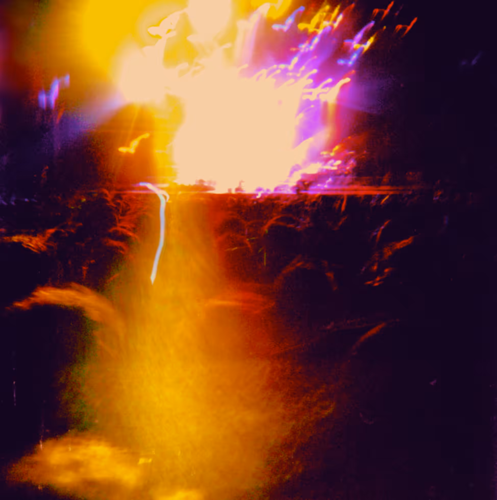 holga no. 17 