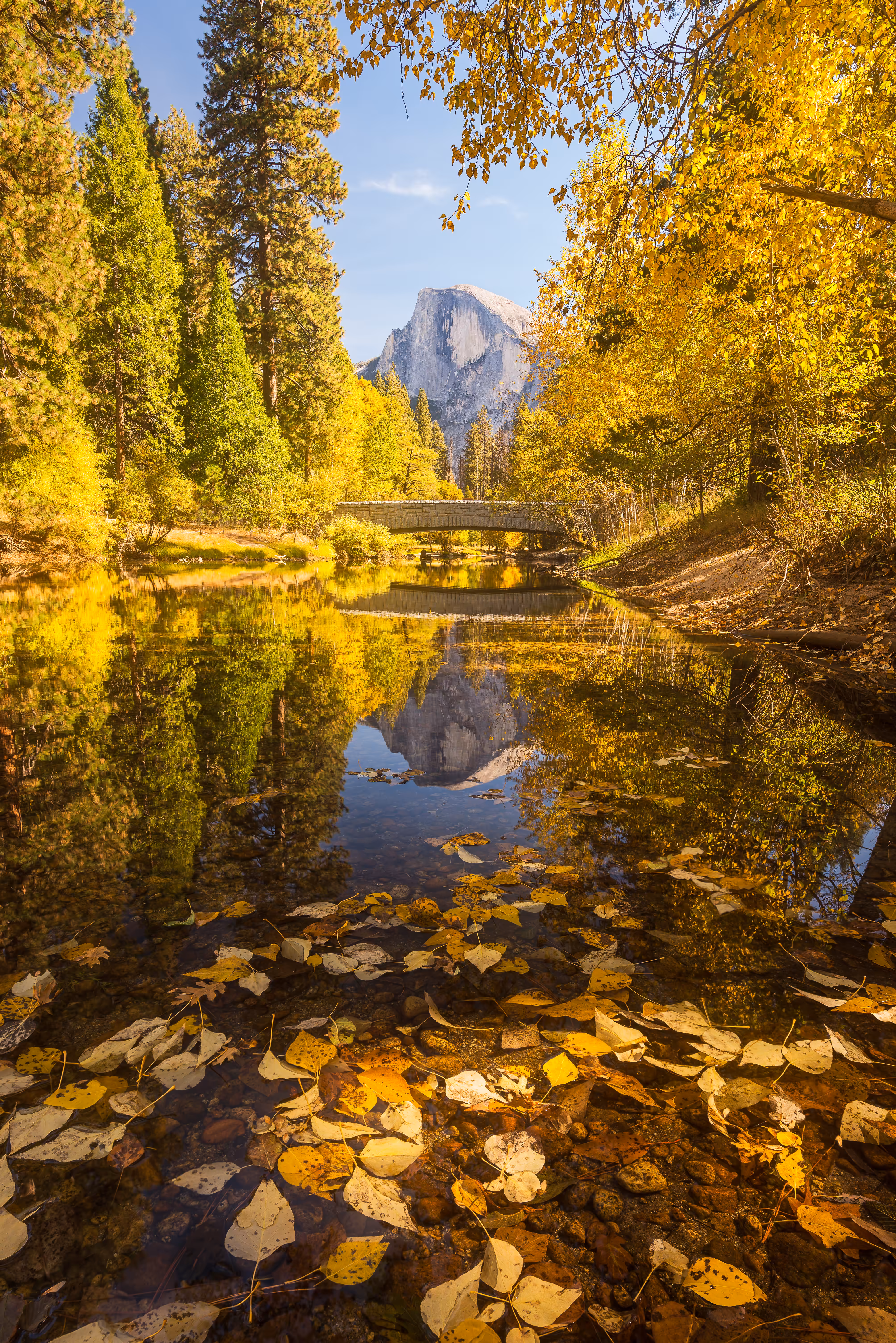 Framing Half Dome