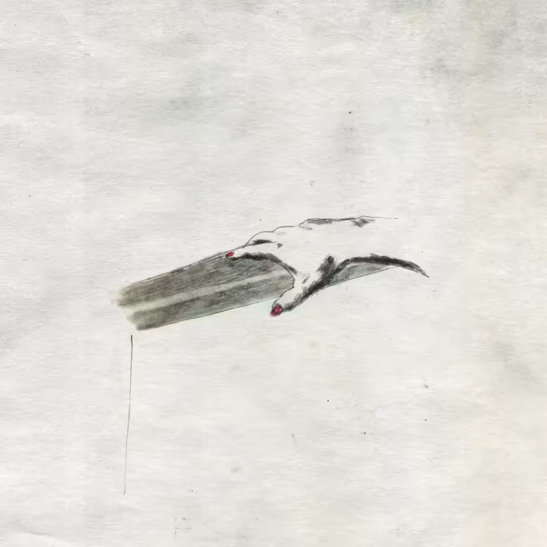 ESC