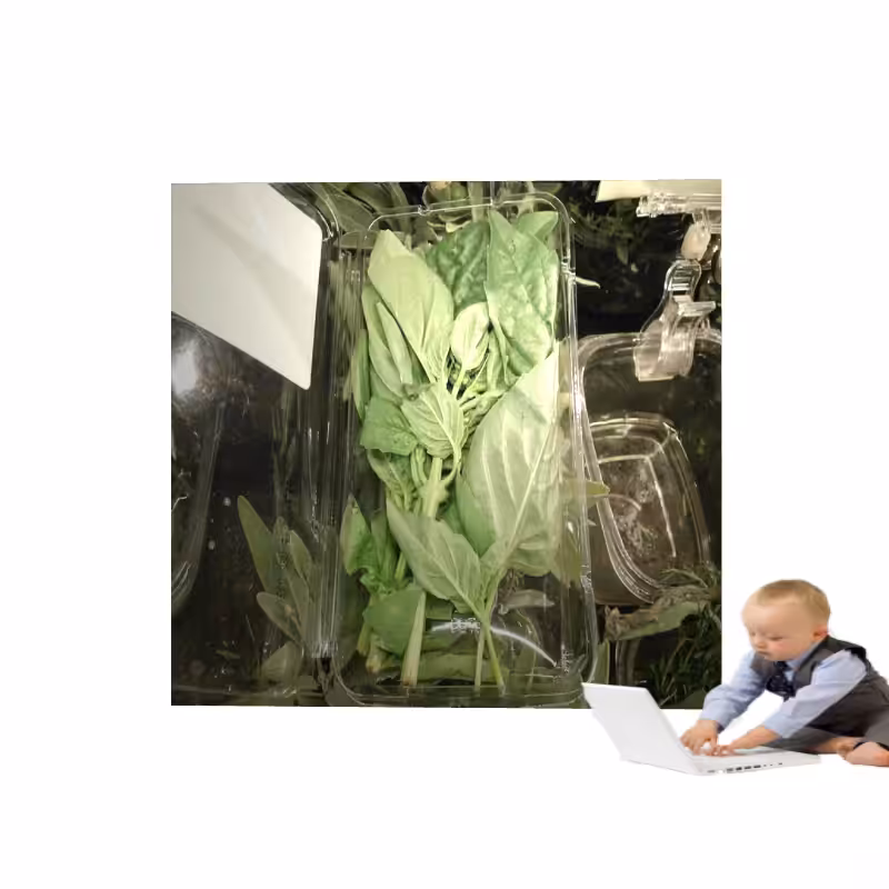 ART BASIL 2022 #9