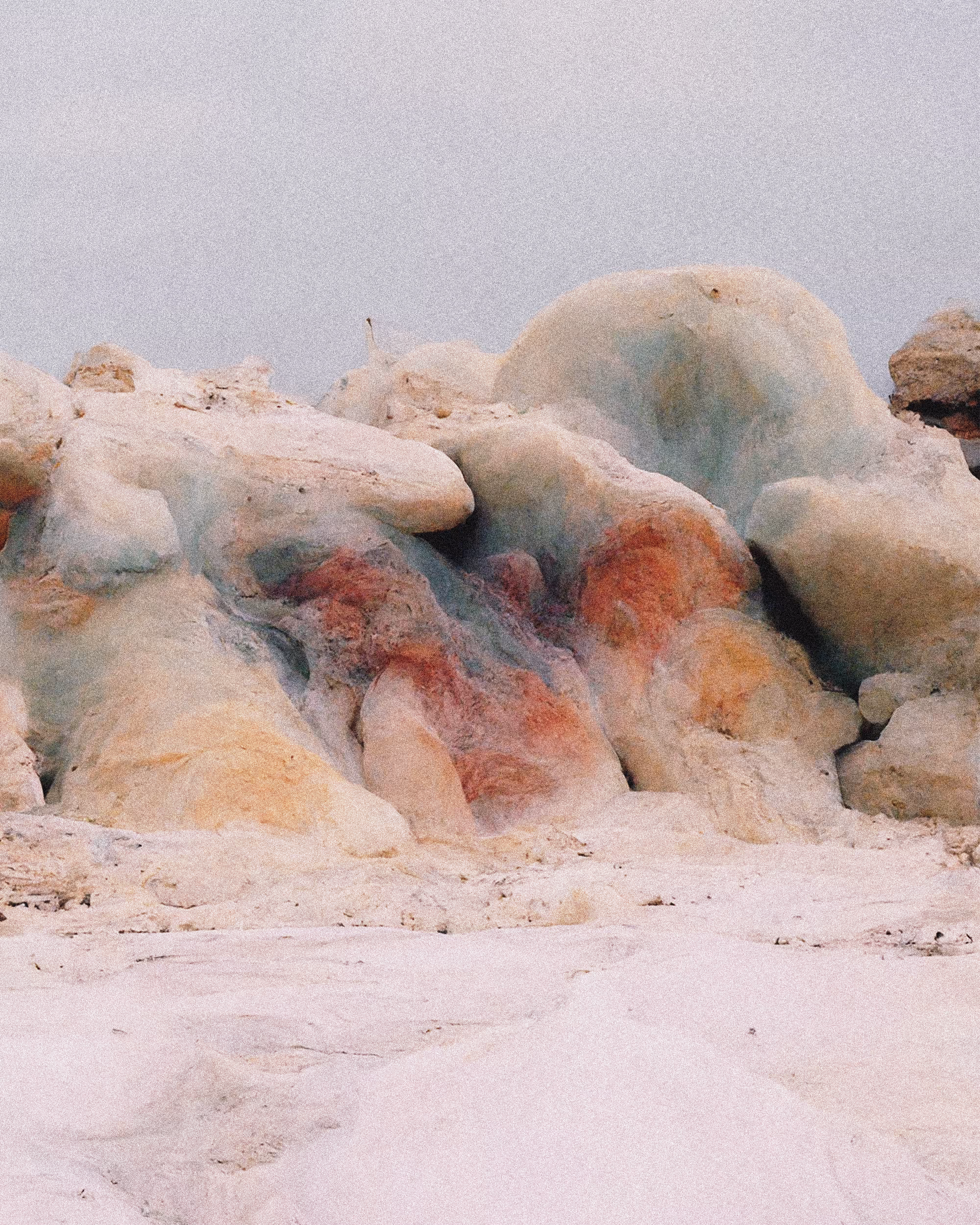 mold
