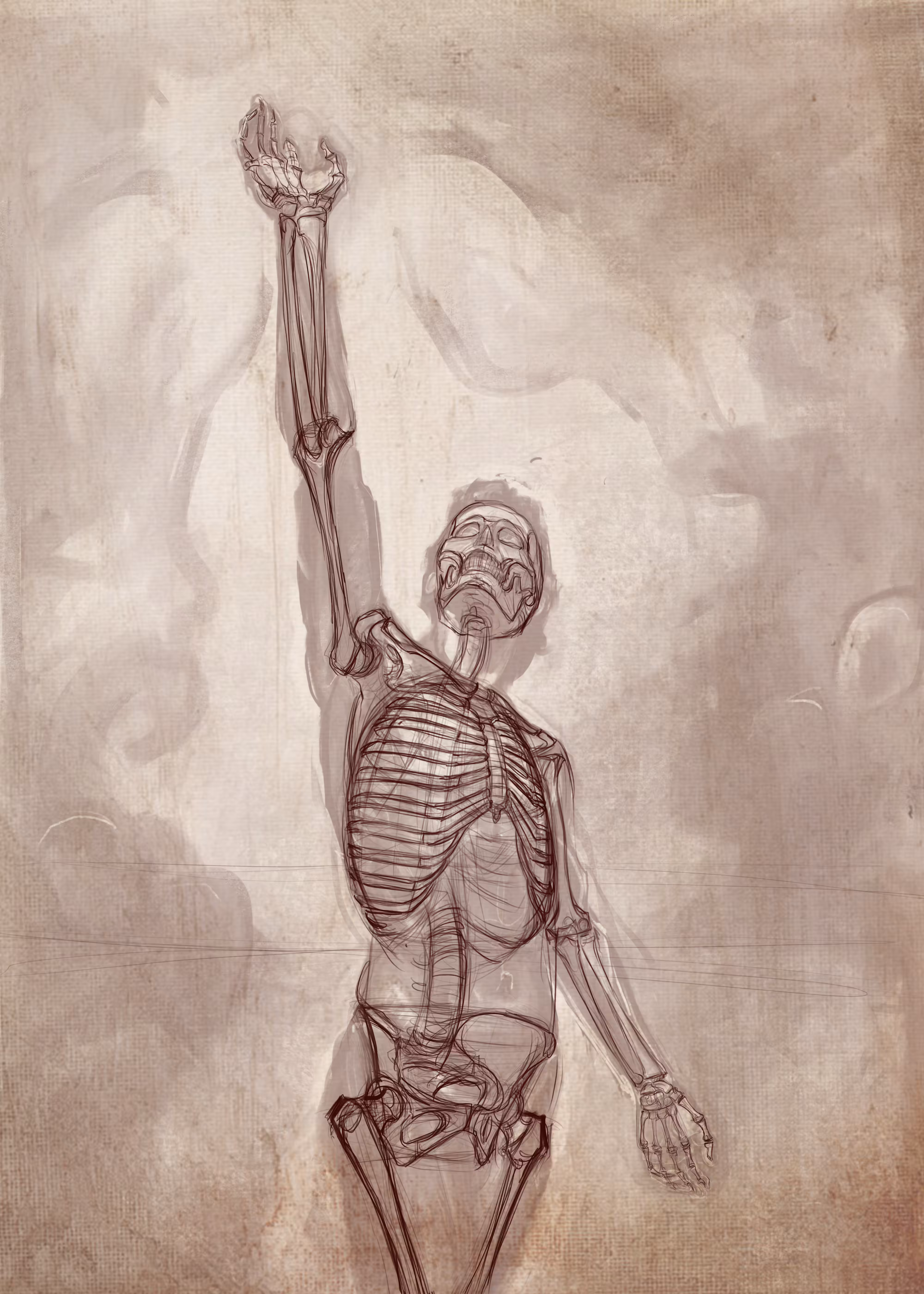 Danko Skeleton sketch