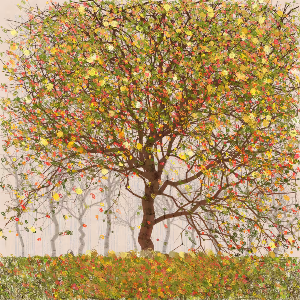 Orchard #269