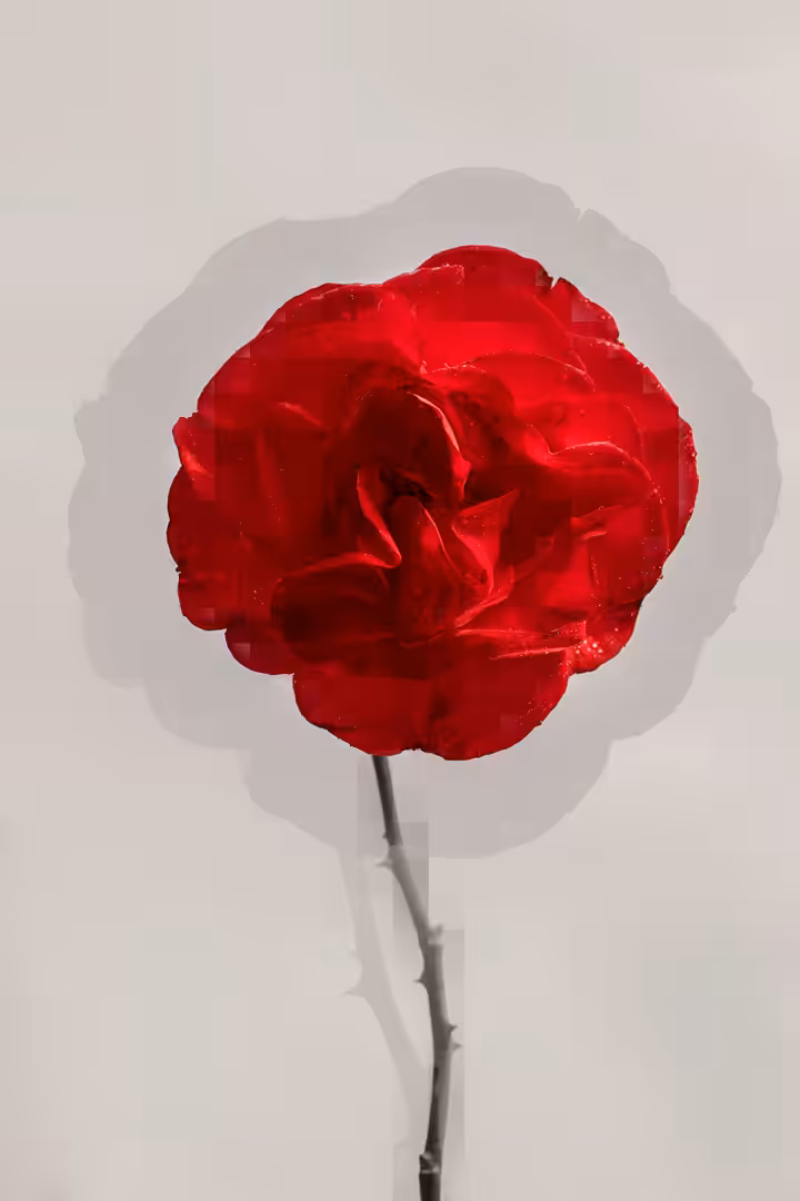 Flower #09
