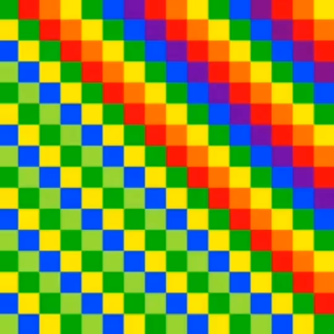 BRAZILIAN DIVERSITY RAINBOW