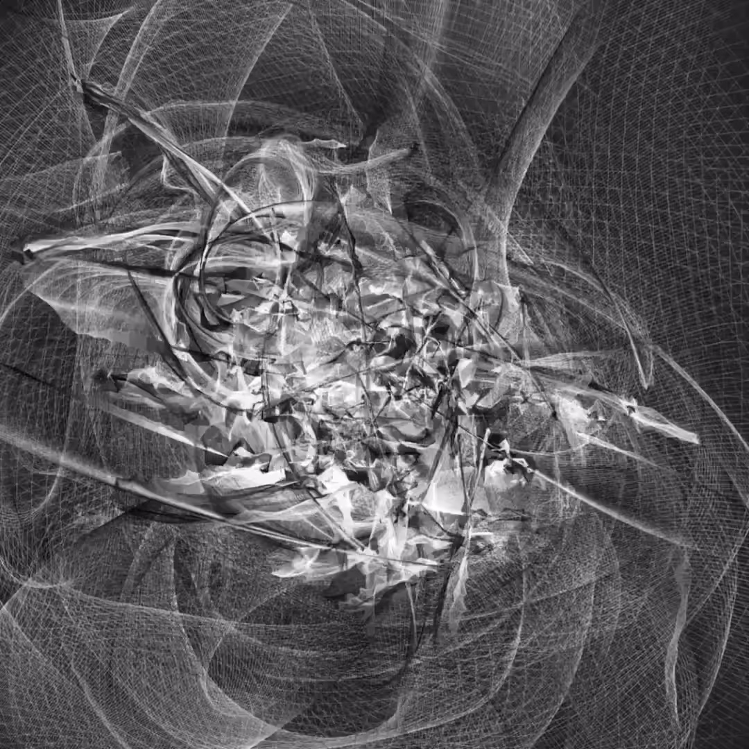 Motion of the universe 01/30