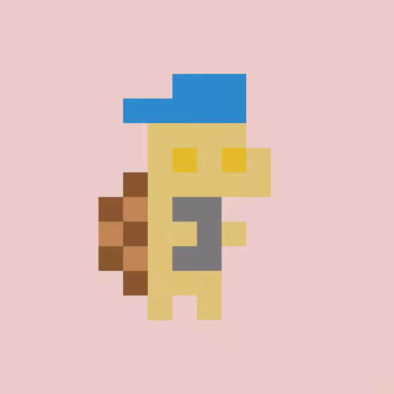 Tiny tortoises. #842